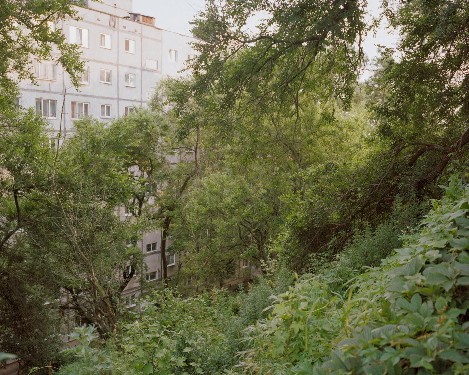 Arcadia. Anastasia Tsayder