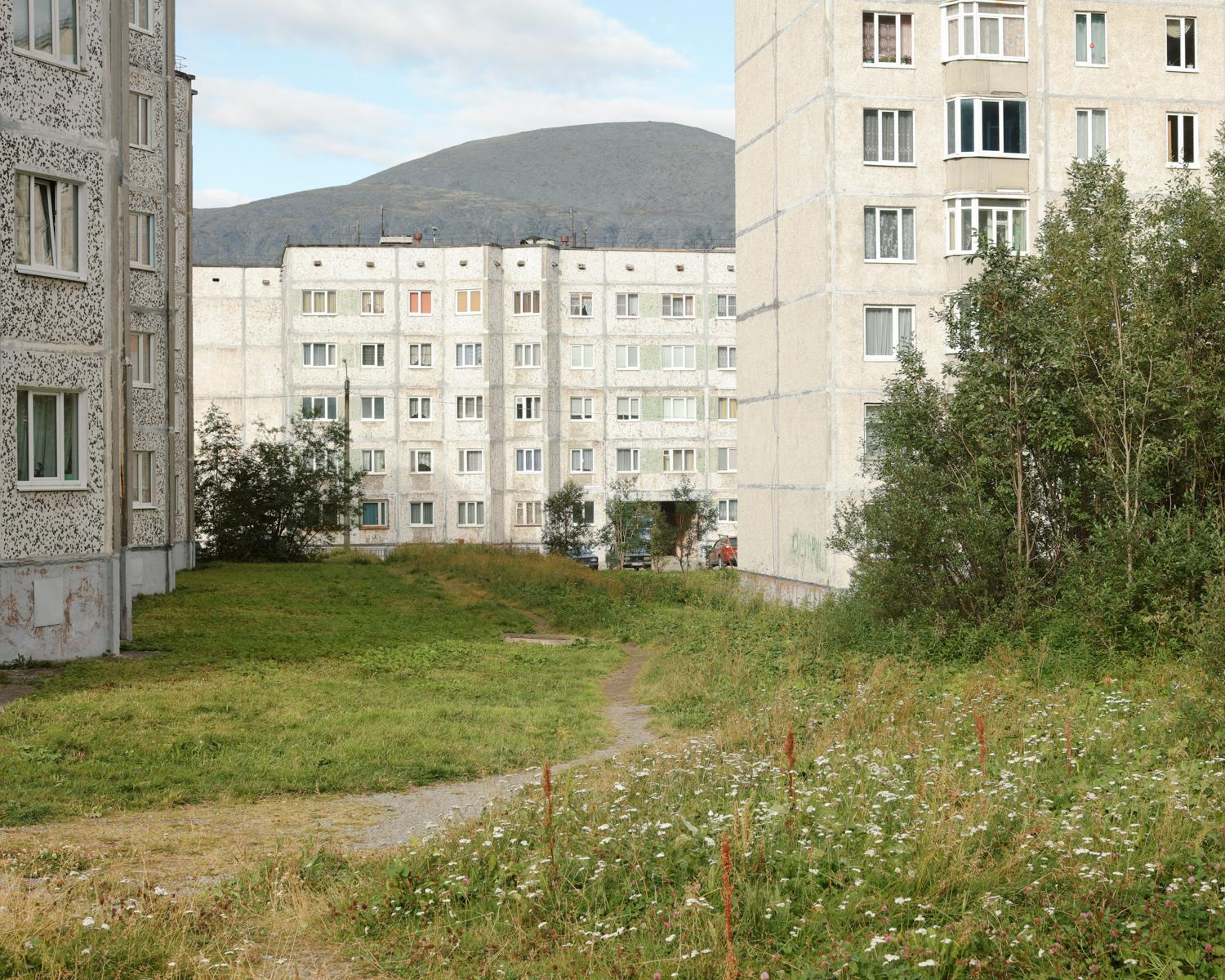 Arcadia. Anastasia Tsayder