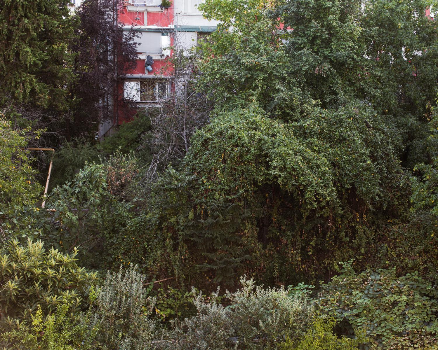 Arcadia. Anastasia Tsayder