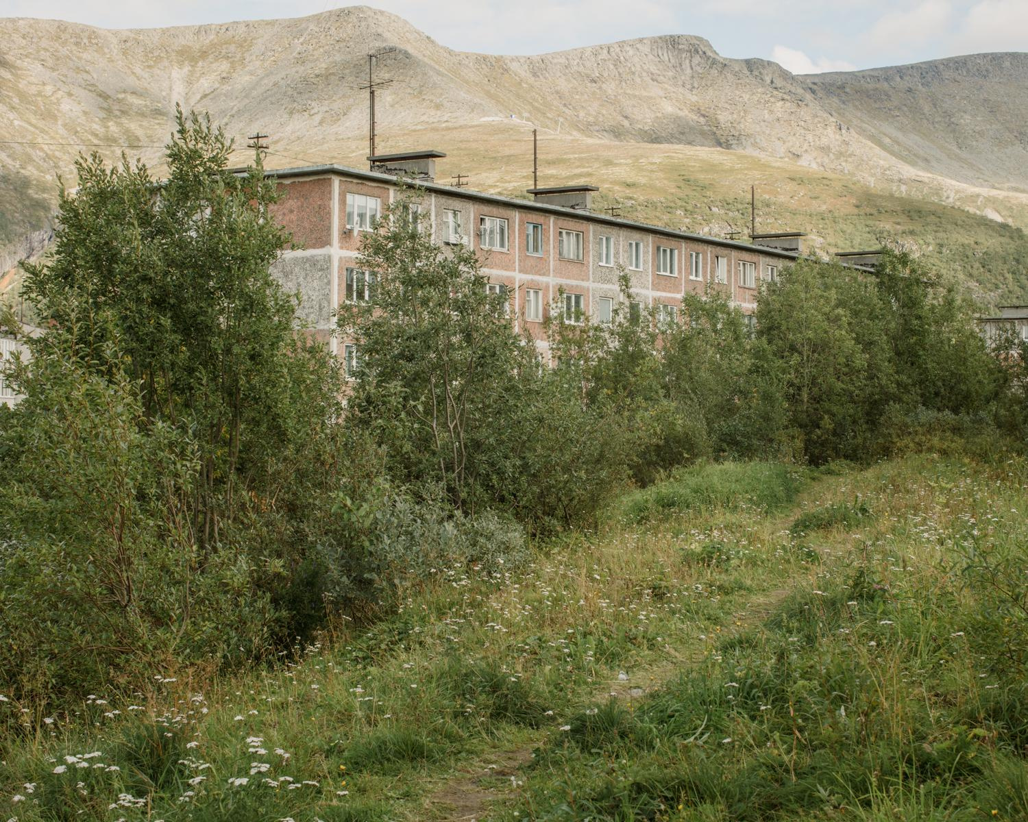 Arcadia. Anastasia Tsayder