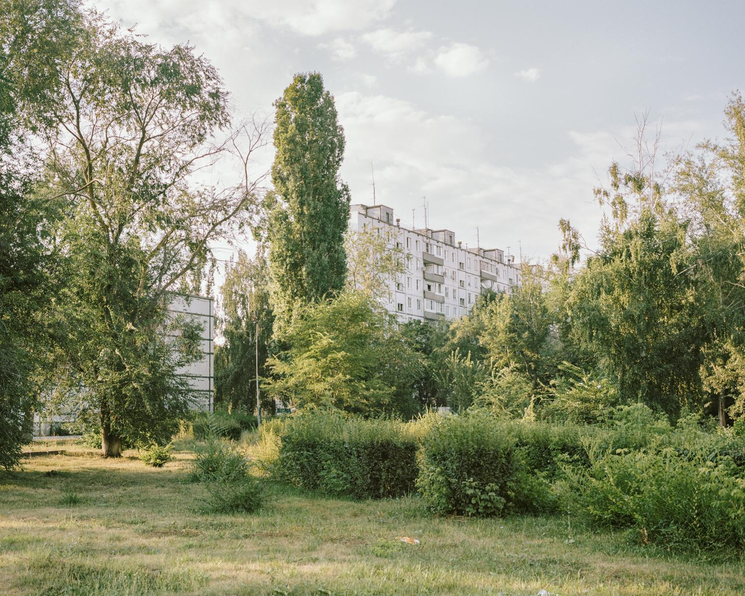 Arcadia. Anastasia Tsayder