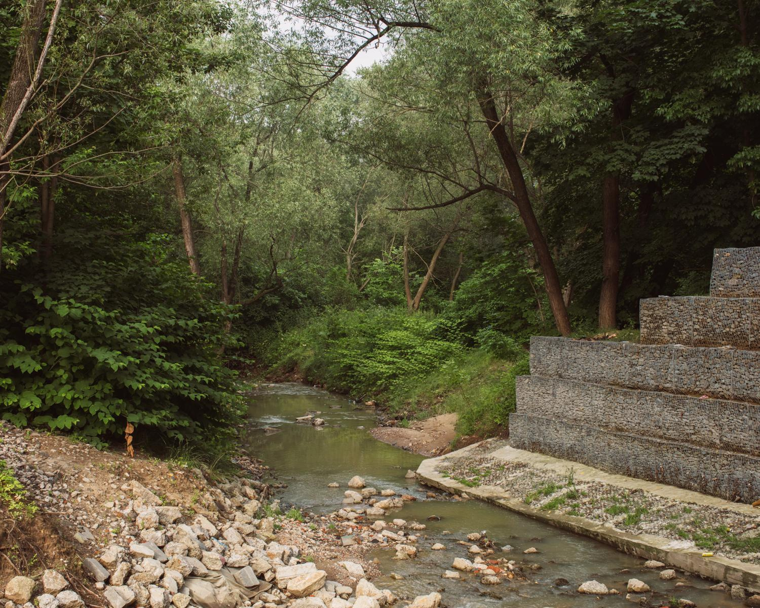 Arcadia. Anastasia Tsayder