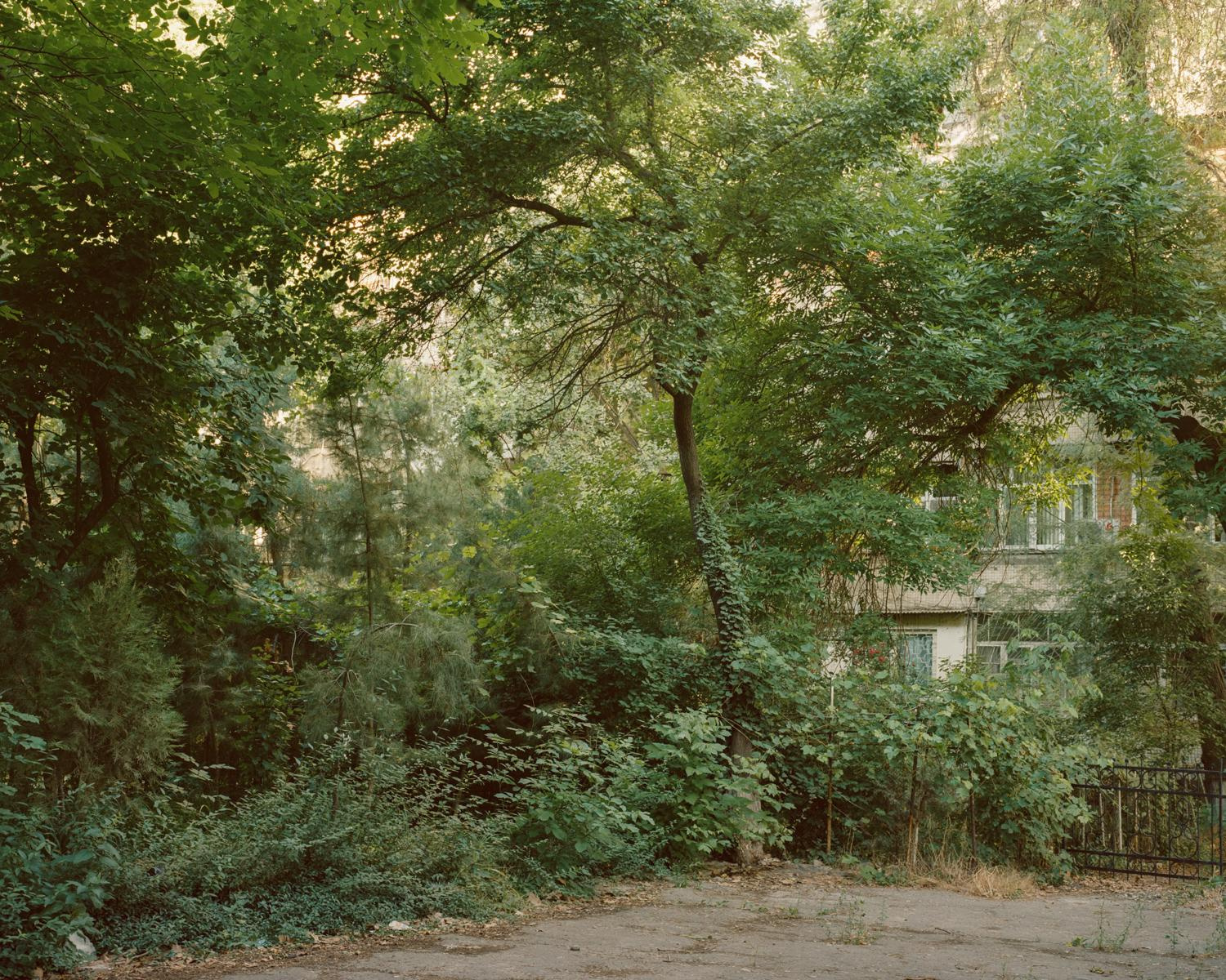 Arcadia. Anastasia Tsayder