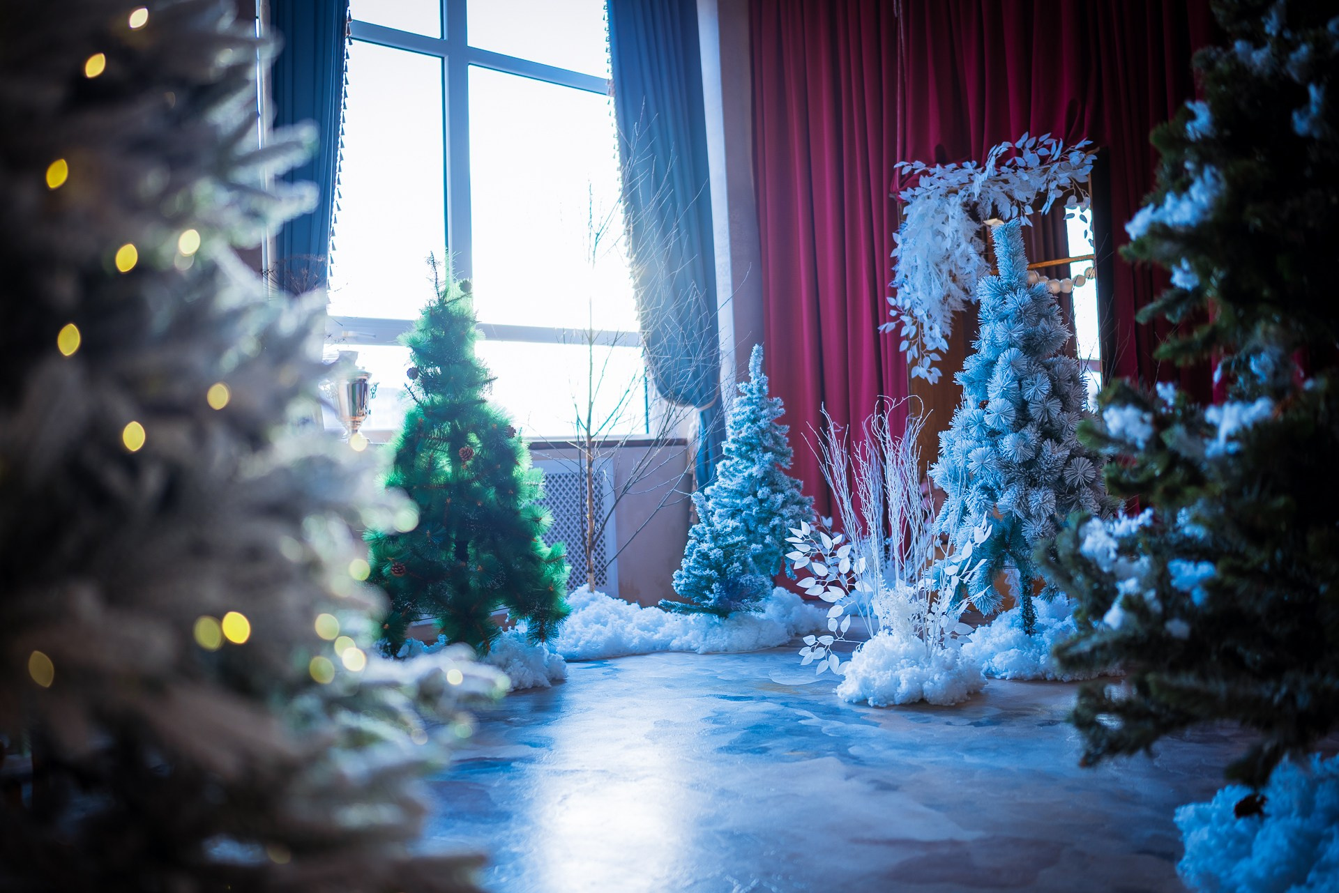 Фотостудия интерьерная в Туле — Давинчи |Davinci