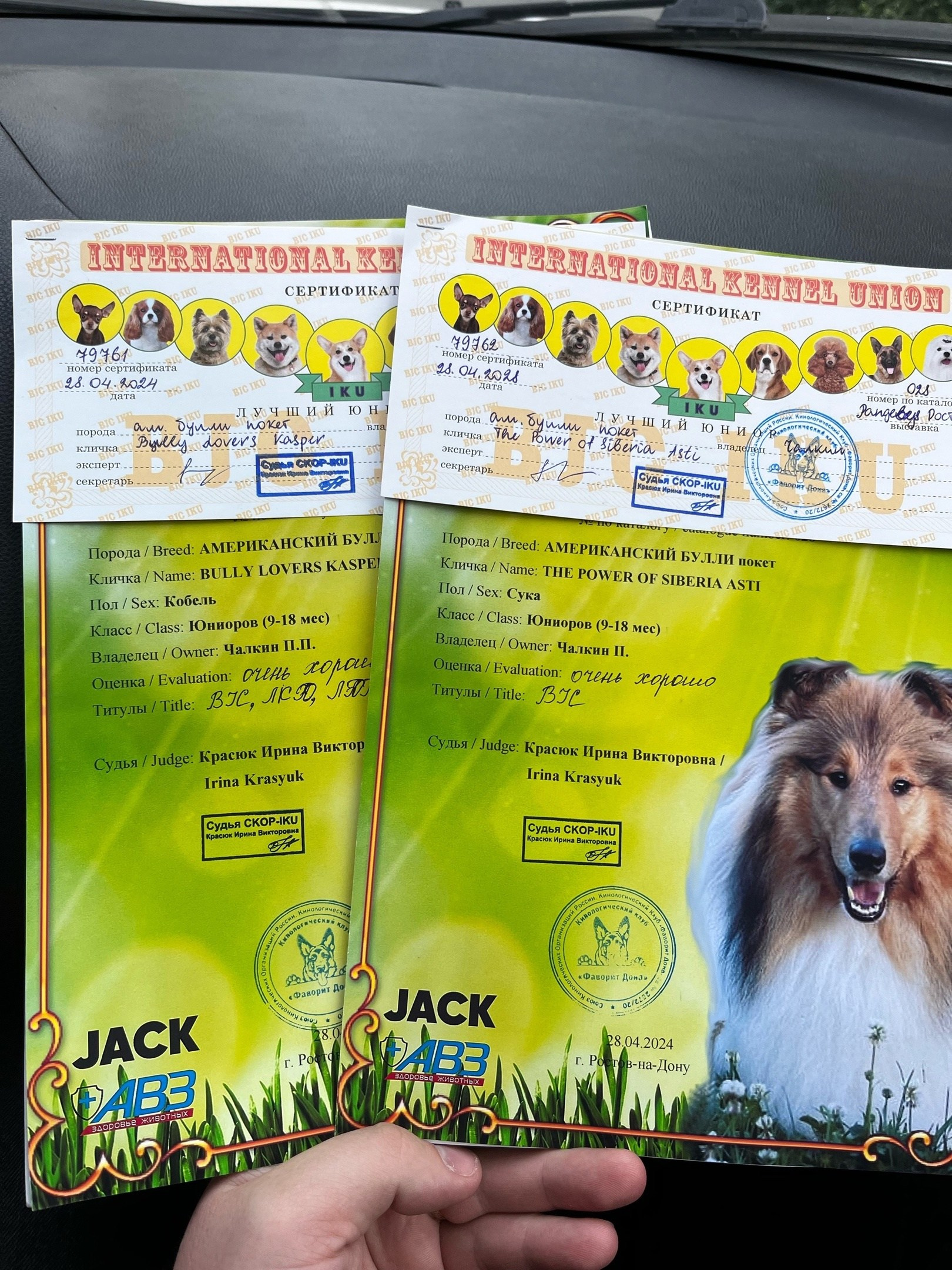 американский булли Юг, американский булли южный округ, лучшие американские булли на юге россии, топовые булли в россии, топовые американские булли в россии, ТОП булли, Топ американский булли, самые крутые американские булли, булли клаccик, булли покет, булли стандарт, булли экзот, булли xl, амeриканский булли, щенок булли, американский булли питомник, американский булли купить, американский булли щенок, американский булли москва, американский булли ростов-на-дону, американский булли краснодар, американский булли ставрополь, американский булли волгоград, американский булли семфирополь, американский булли ставрополь, американский булли сочи, американский булли воронеж, американский булли питер, американский булли санкт-петербург, американский булли Казань, американский булли Новосибирск, американский булли Челябинск, американский булли Ростов, американский булли Луганск, американский булли Донецк, американский булли покет, американский булли классик.американский булли ,американский булли щенки , американский булли купить ,американский булли фото , американский булли покет , собака американский булли , порода американский булли , американский булли цена , купить щенка американского булли ,американский булли характеристика , порода собак американский булли, питомник американских булли , американский булли отзывы, американский булли стандарт , американский булли отзывы владельцев, американский булли xl , россия американские булли , американские булли москва , американский булли вес , американский булли цена щенка, американский булли породы собак сша , американский булли размеры , американский булли классик , американский булли классика , американский булли характеристика породы , авито американский булли , сколько стоит американский булли , окрасы американских булли , американский булли виды , американский булли типы , американский булли цена в россии , американский булли экзот , американский булли микро , американский булли мини , собака американский булли фото , американский булли спб , американский булли характер , минусы американского булли , купить американского булли в москве , американские булли сколько щенков , плюсы американского булли , американский булли плюсы и минусы , взрослый американский булли , американский булли фото цена , американский булли фото щенков , американский булли крым , сколько живут американские булли , американский булли описание , американский булли купить авито , американский булли ростов , собачий питомник , питомник для собак , собаки , порода , щенки, щенок для детей, щенок для ребенка, щенок для семьи, собака для ребенка, питомник BULLY LOVERS, питомник THE POWER OF SIBERIA, питомник Ultimate Bully, питомник FORTIS FORTUNA VALIDI, питомник EXTREME BEAR, питомник American Dream, Питомник RUSSIAN BULLS, питомник ТАРУС & BULLY LAND, питомник Bully Ranch P&N, Питомник ANTREABULLS, питомник Ambully House, питомник Mar Nero, питомник Alfabulls, #micro #microbully #ambully #ambullys #ambullylife #ambullyforlife #ambullyworld #ambullylove #ambullylover #ambullylovers #ambullyloversfans #americanbullybreed #americanbullykennelclub #американскийбуллипитомник #bullies #bulliesallday #bulliesofig #bulliesofinsta #bulliesofinstagram #instabullies #bullieslife #bullymag #americanbully_feature #americanbullydog #tribullies #americanbullyblue #americanbullytricolor #bullystick #americanbullyStud, американский булли,американский булли щенки,американский булли купить,американский булли покет,американский булли фото,собака американский булли,порода американский булли,американский булли цена,американский булли купить щенка,американский булли характеристика,порода собак американский булли,американский булли отзывы,питомник американских булли,американский булли стандарт,американский булли отзывы владельцев,россия американские булли,американский булли виды,американский булли цена щенка,сколько стоит американский булли,американский булли цена в россии,американские булли москва,американский булли xl,американский булли размеры,типы американских булли,американский булли мини,американский булли вес,авито американский булли,американский булли породы собак сша,американский булли микро,американский булли характеристика породы,американский булли экзот,американский булли классик,американский булли классика,собака американский булли фото,американский булли характер,минусы американского булли,американские булли спб,американский булли окрасы,американский булли купить в москве,американские булли сколько щенков,плюсы американского булли,американский булли видео,американский булли плюсы и минусы,американский булли щенок фото,взрослый американский булли,американский булли девочка,американский булли описание,сколько живут американские булли,американский булли покет купить,американский булли крым,american bully,american bully ru,american bully ru shchenki,https american bully ru,https american bully ru shchenki,american bully xl,american bully питомник,american bully dog,american bully kennel,american dream bully,american bully pocket,american bully kennel club,all american bully фильм смотреть,american bully xxl,reddit american bully,american bully ru shchenki html,american bully wise,celina innovations crochet american bully part,https american bully ru shchenki html,american bully classic,питомник американских булли,питомник собак американский булли,питомник американских булли в крыму,питомник собак в крыму американские булли,питомник в крыму американский булли последние,питомник американских булли в москве,американские булли купить питомник,питомник американских булли в россии,питомник американских булли покеткупить щенка американский булли питомник,американские булли цена питомники,питомник американских булли в спб,питомник американских булли яна,купить американского булли в москве питомник,питомник американских булли в москве и московской,официальные питомники американских булли,крым питомник американских булли яна,булли американский купить питомник цена,москва и область питомники американских булли,питомник американских булли яна и гоша,американские булли подмосковья питомник,американский булли стандарт питомник,питомник американских булли екатеринбург,питомник американских булли ростов,лучшие питомники американских булли,питомник собак крым американский булли яна,яна питомник собак американский булли,американский булли купить в спб питомник,американский булли питомник львиное сердце уфа,американский булли питомник львиное сердце уфа вк,американский булли лучший питомник россии,американский булли питомник краснодар,американский булли купить спб щенка питомник,американский булли покет питомник москва,американский булли сайт питомник,питомник американский булли официальный сайт,питомник американских булли в челябинске,питомники американских булли в россии список лучших,питомник собак американских булли серпухов,питомник собак дзен американский булли,американский булли xl питомник,питомник американских булли в талдоме,питомник и цена американ американский булли,фаворит гигант питомник американских булли,американский булли купить,американский булли купить щенка,американский булли купить в москве,американский булли покет купить,американский булли купить щенка в москве,американский булли купить авито,купить американский булли цена,купить американского булли в спб,купить собаку американский булли,американский булли купить щенка цена,американский булли покет купить щенка,американский булли купить в беларуси,американский булли стандарт купить,американский булли купить москва московская область,купить американского булли в россии,купить американского булли в московской области,американский булли купить в екатеринбурге,американский булли купить в новосибирске,американский булли купить щенка в спб,