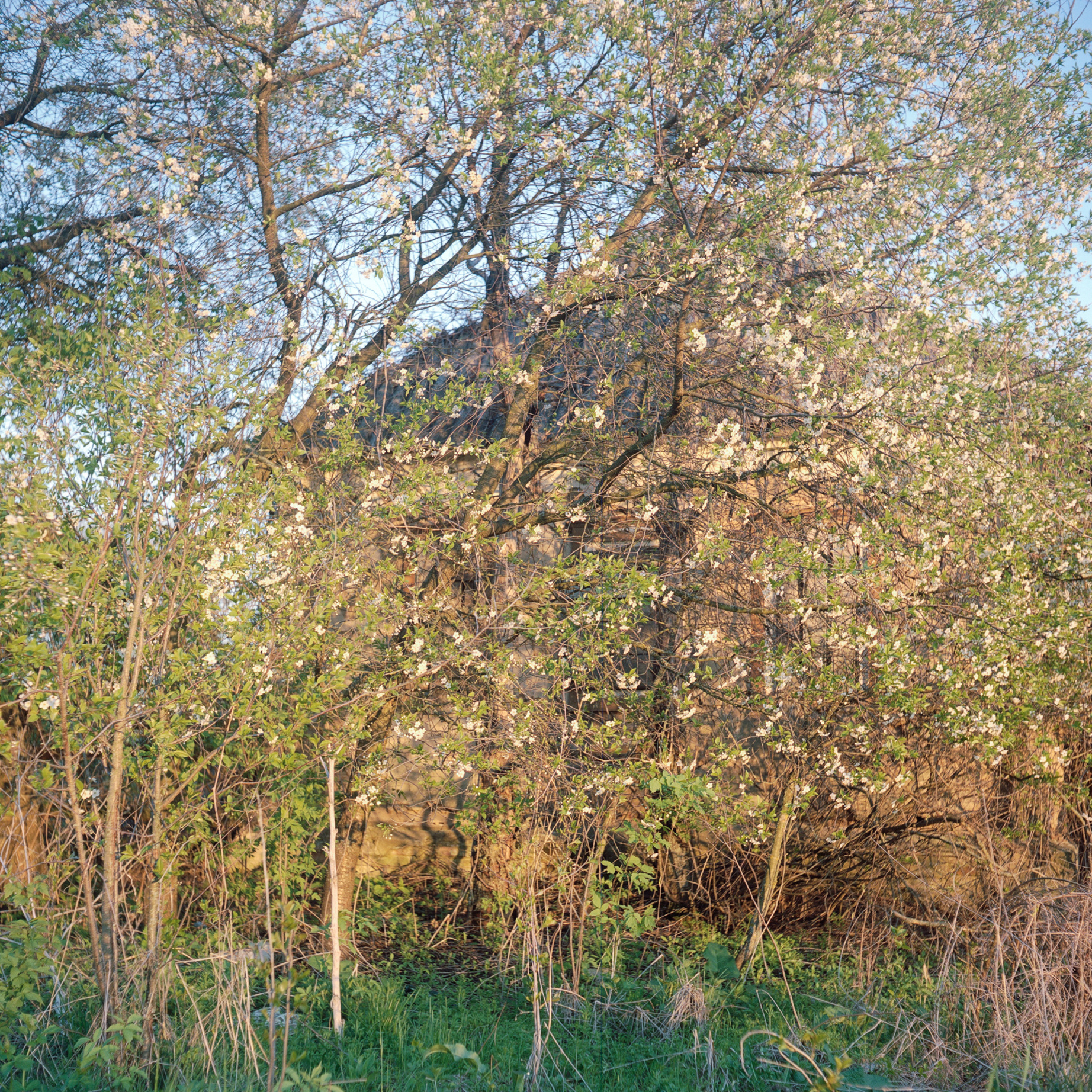 Mzensk. Anastasia Tsayder