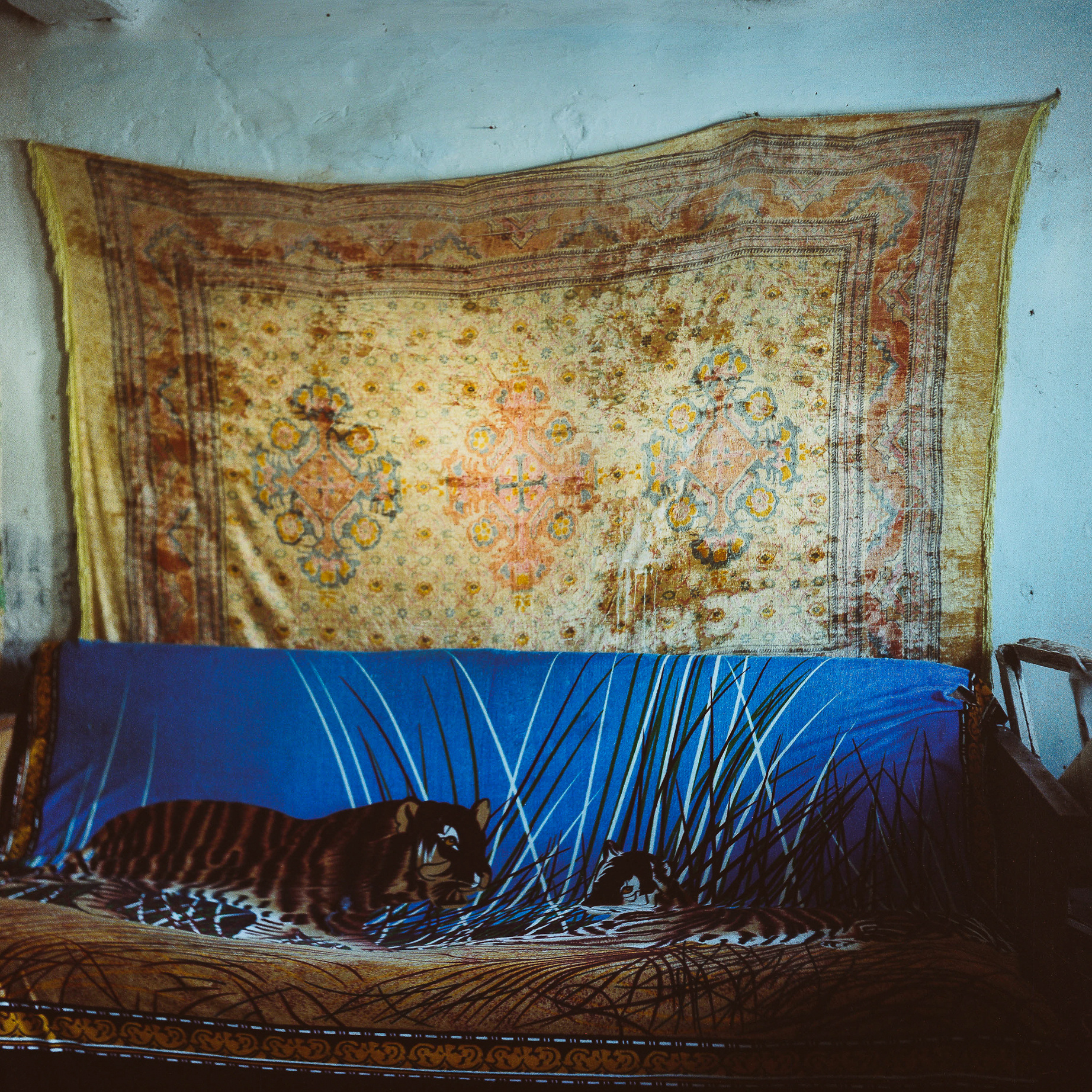 Mzensk. Anastasia Tsayder