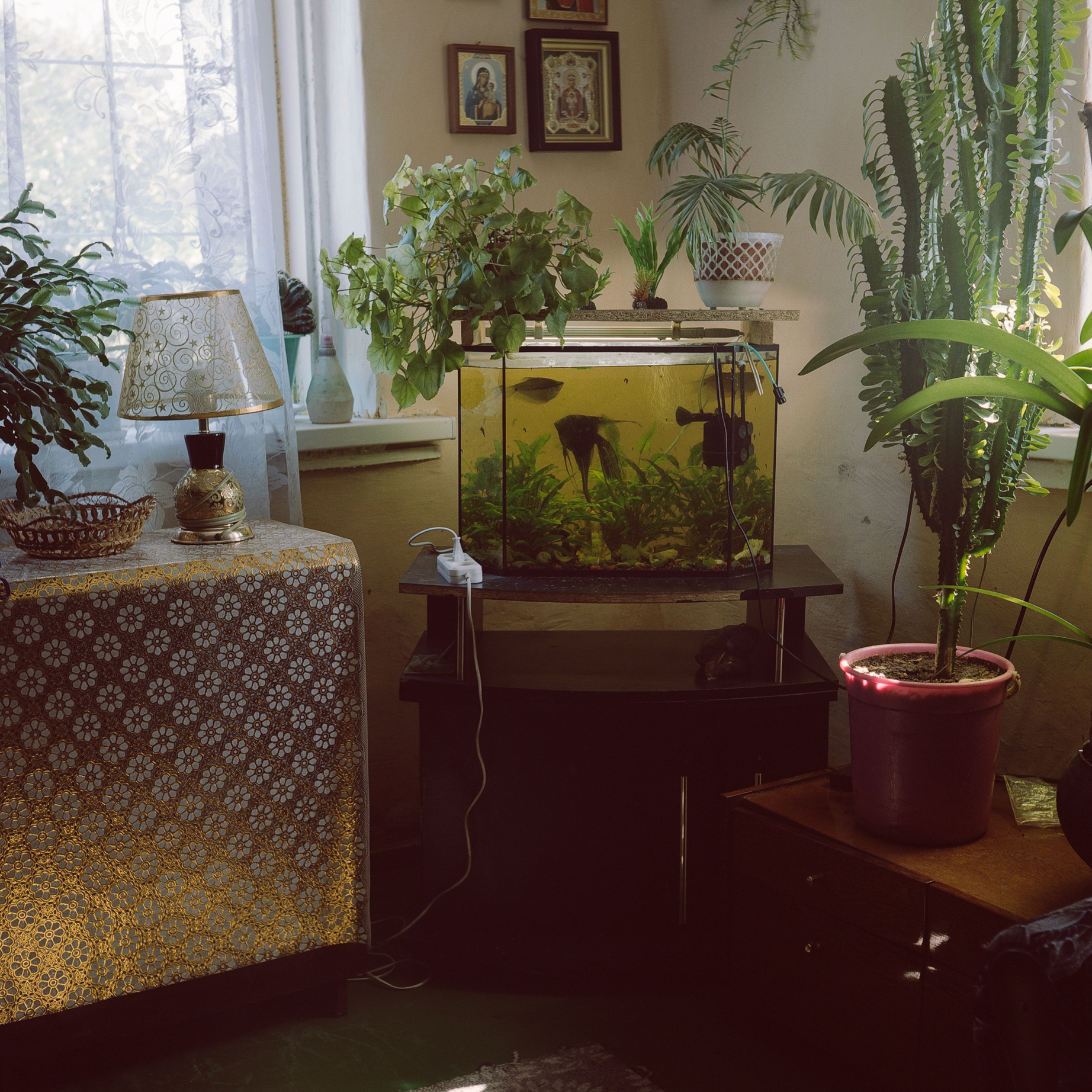 Mzensk. Anastasia Tsayder