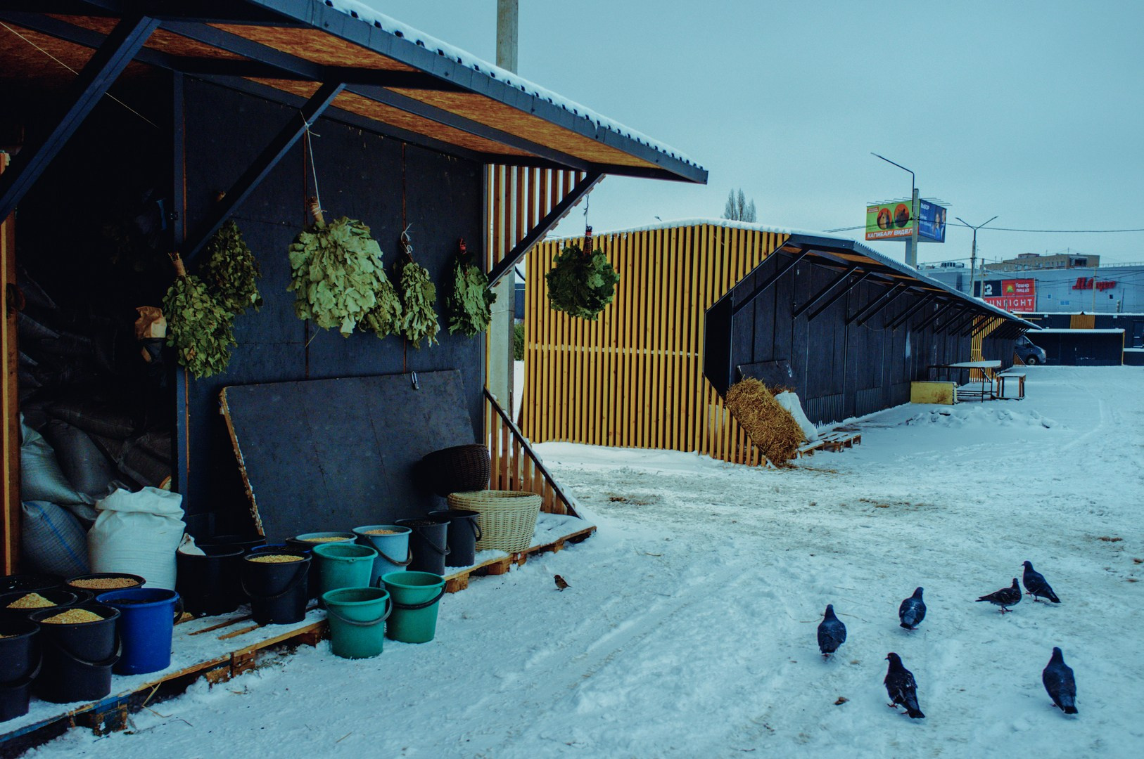 Зима уходящая. Руслан Шувалов (поэтограф)