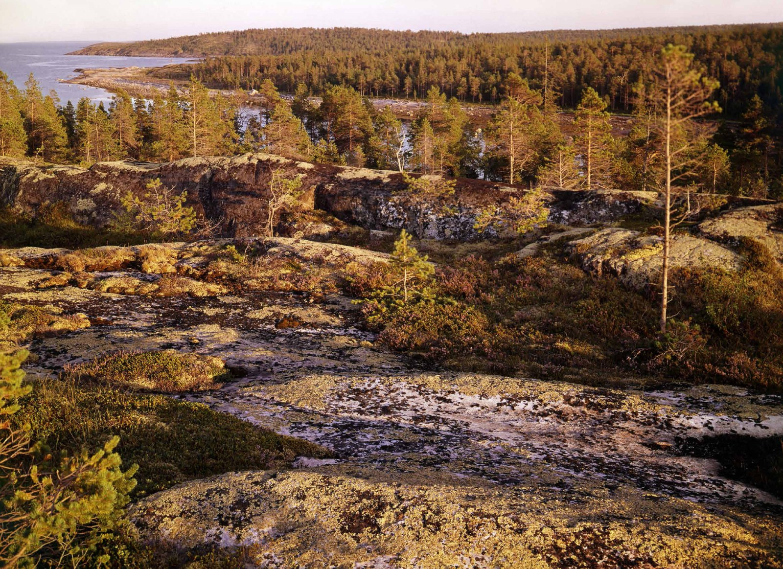 Коллекционные альбомы. ВАДИМ ГИППЕНРЕЙТЕР — ВЕЛИКИЙ ФОТОГРАФ ЗЕМЛИ РУССКОЙ
