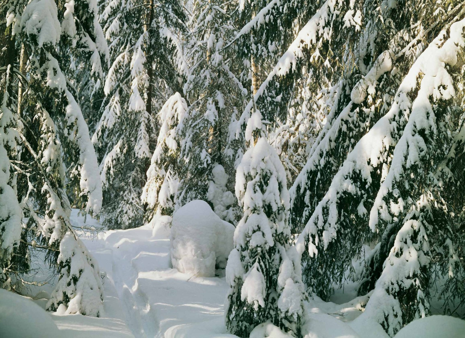 Коллекционные альбомы. ВАДИМ ГИППЕНРЕЙТЕР — ВЕЛИКИЙ ФОТОГРАФ ЗЕМЛИ РУССКОЙ