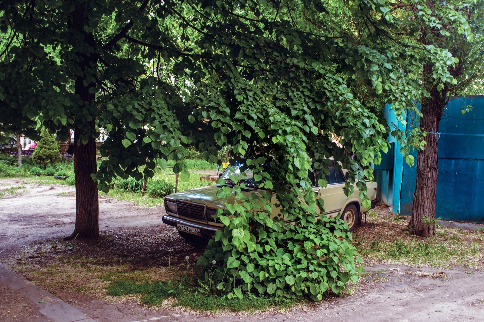 Руслан Шувалов (поэтограф)