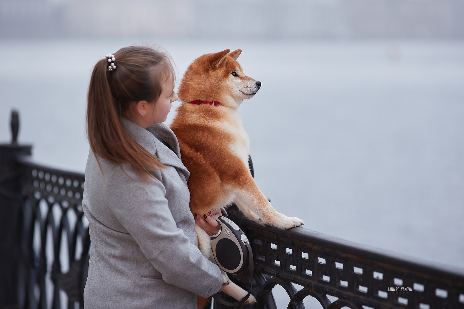 Фотопрогулка для заводчика. ФОТОГРАФ-АНИМАЛИСТ l LANA POLYAKOVA