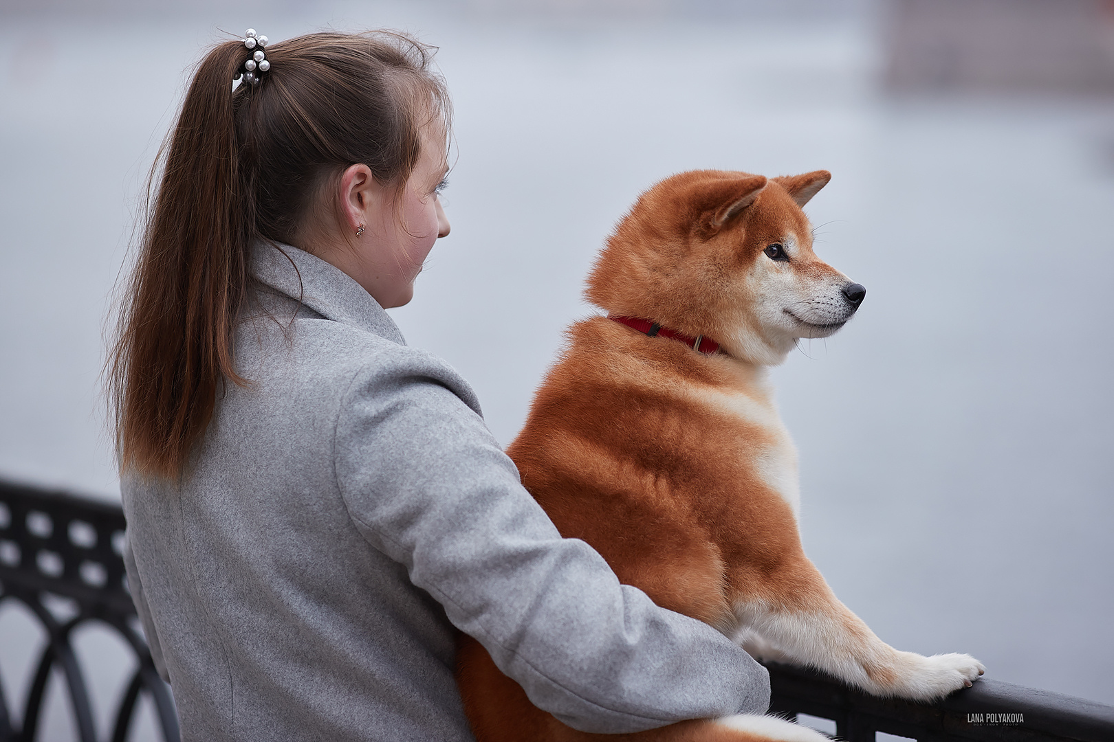 Фотопрогулка для заводчика. ФОТОГРАФ-АНИМАЛИСТ l LANA POLYAKOVA