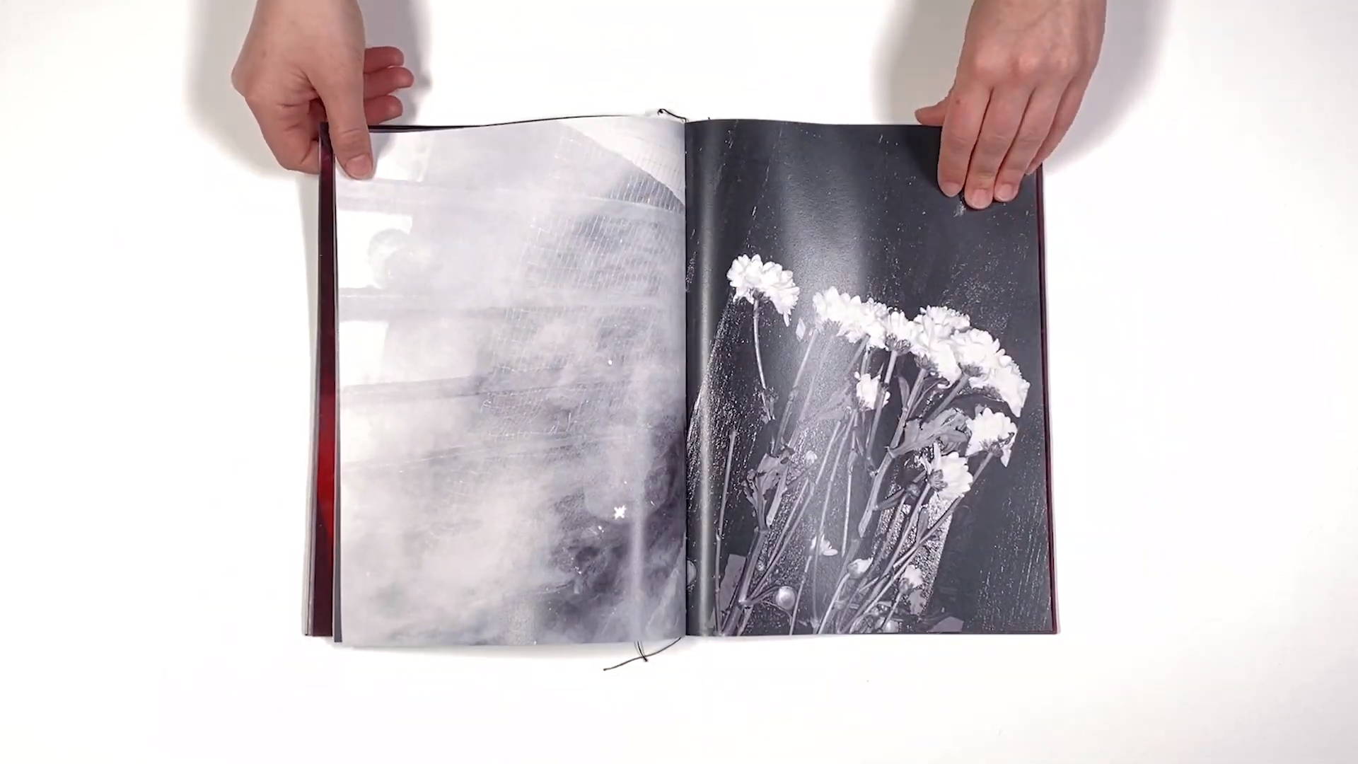 Фотокнига «Solstice» художницы Джулии Боле (Julia Bohle). Private image