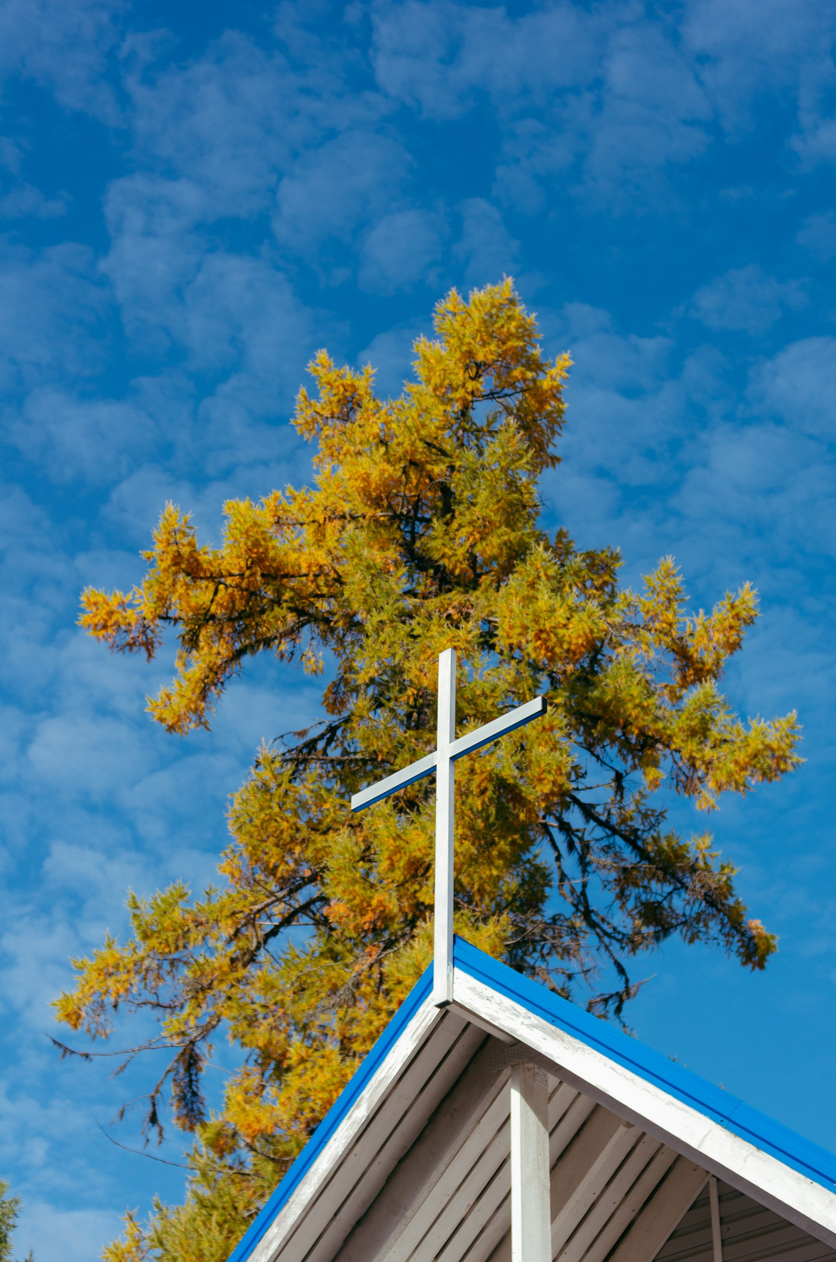 Фотограф Даниил Богомолов, Санкт-Петербург