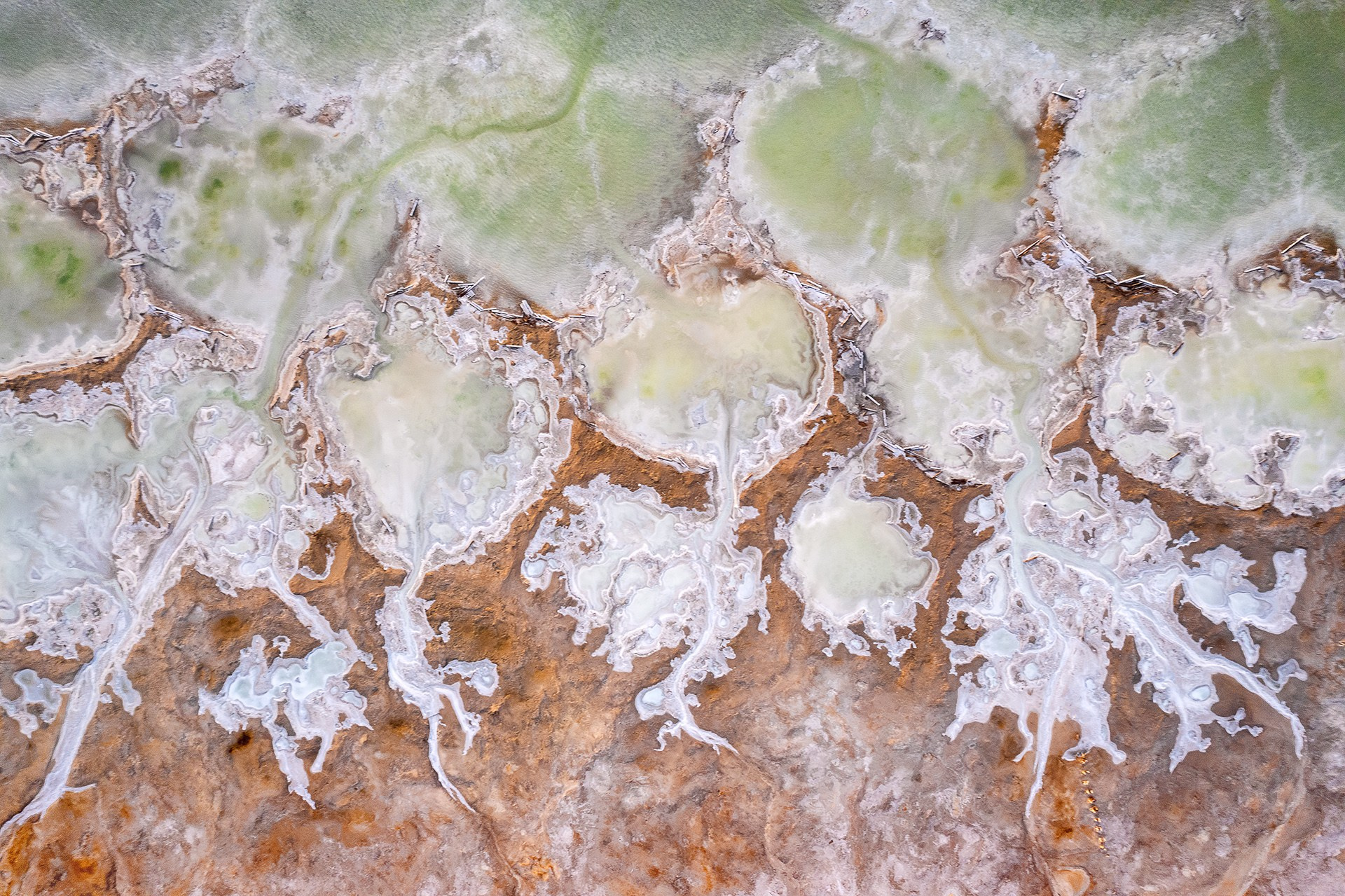 Волгоградская и астраханская области Весна 2026 | Фотограф Дмитрий Купрацевич. Дмитрий Купрацевич профессиональный пейзажный и travel-фотограф