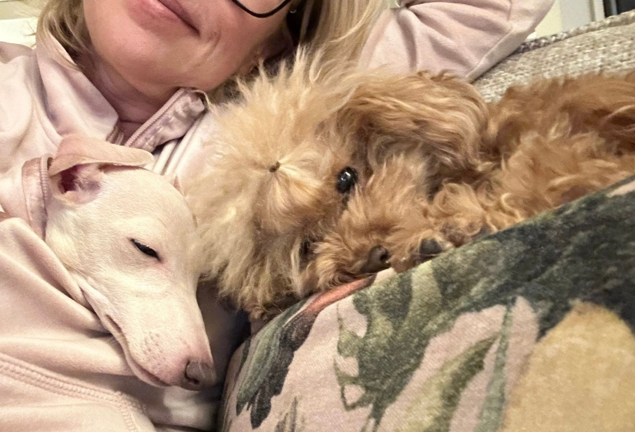 Левретка и другие породы собак. Профессиональный питомник левреток РКФ/FCI ASTI SAPPHIRE 💎 Сочи|Санкт-Петербург