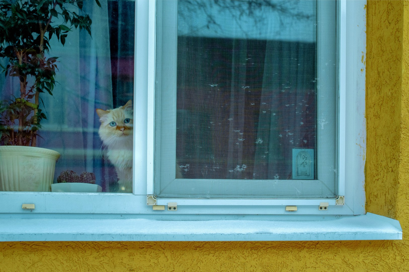 Руслан Шувалов (поэтограф)