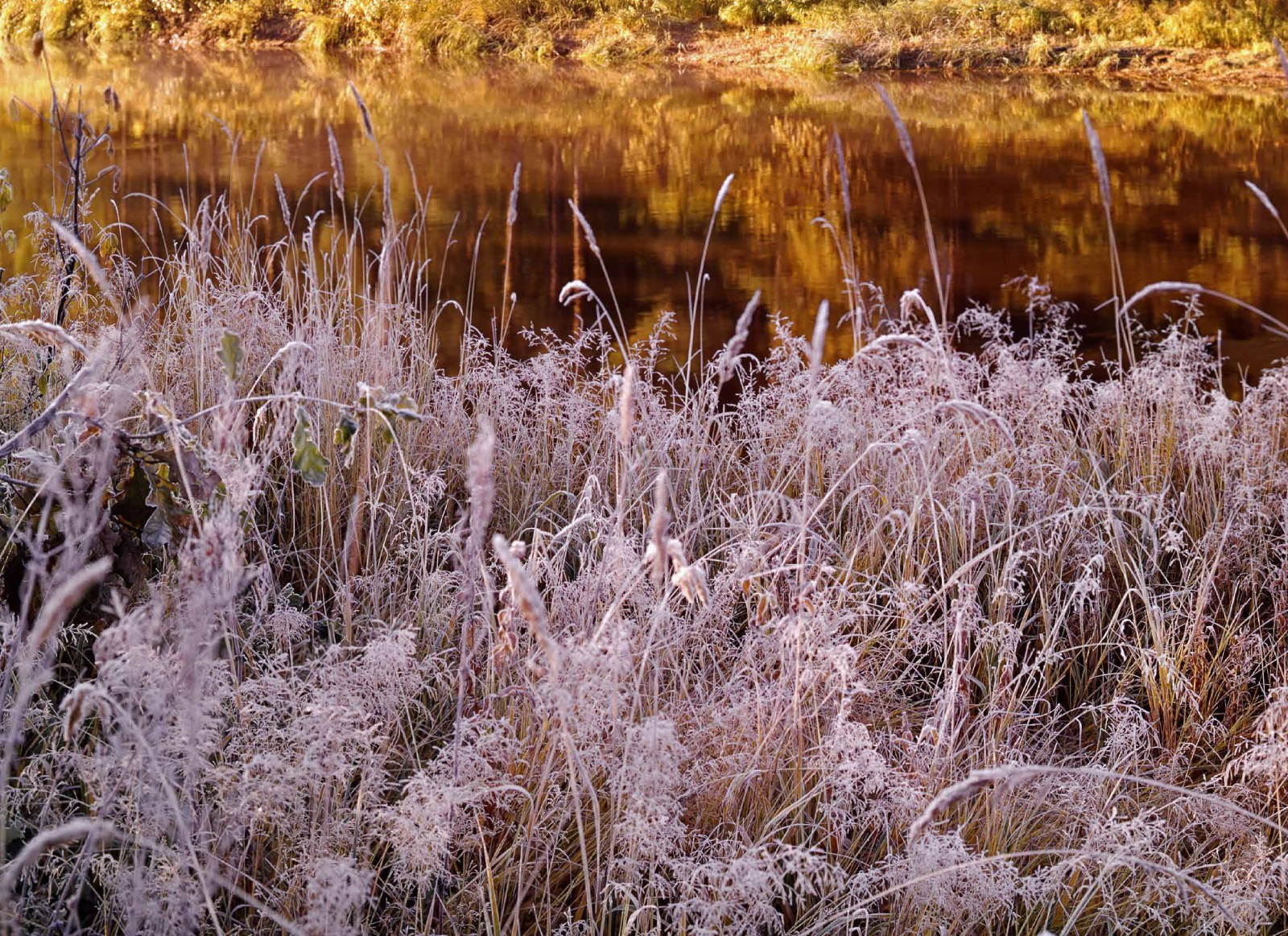Коллекционные альбомы. ВАДИМ ГИППЕНРЕЙТЕР — ВЕЛИКИЙ ФОТОГРАФ ЗЕМЛИ РУССКОЙ