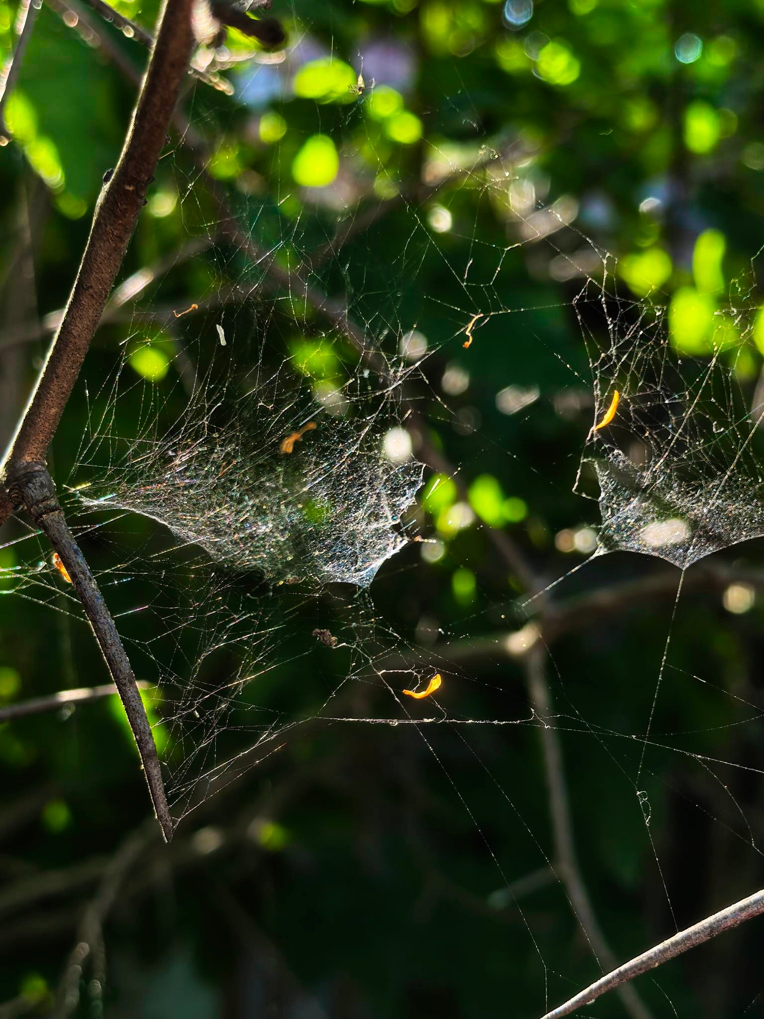 Плёс — лучший туристический город. Купить картину на холсте для интерьера|художник | дизайнер | архитектор Сергей Ратчин в Москве