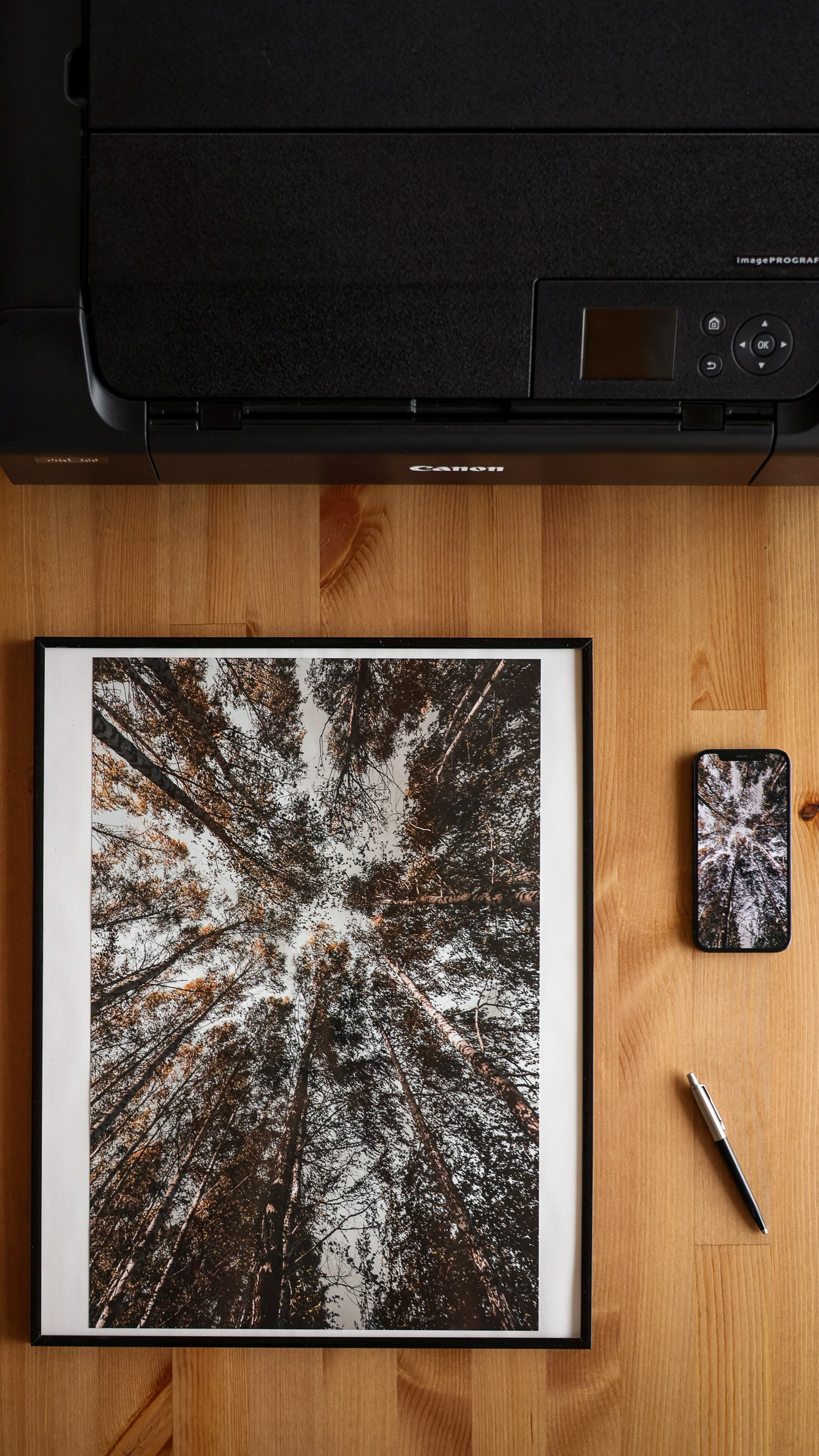 Картины. Фотограф Евграфов Александр