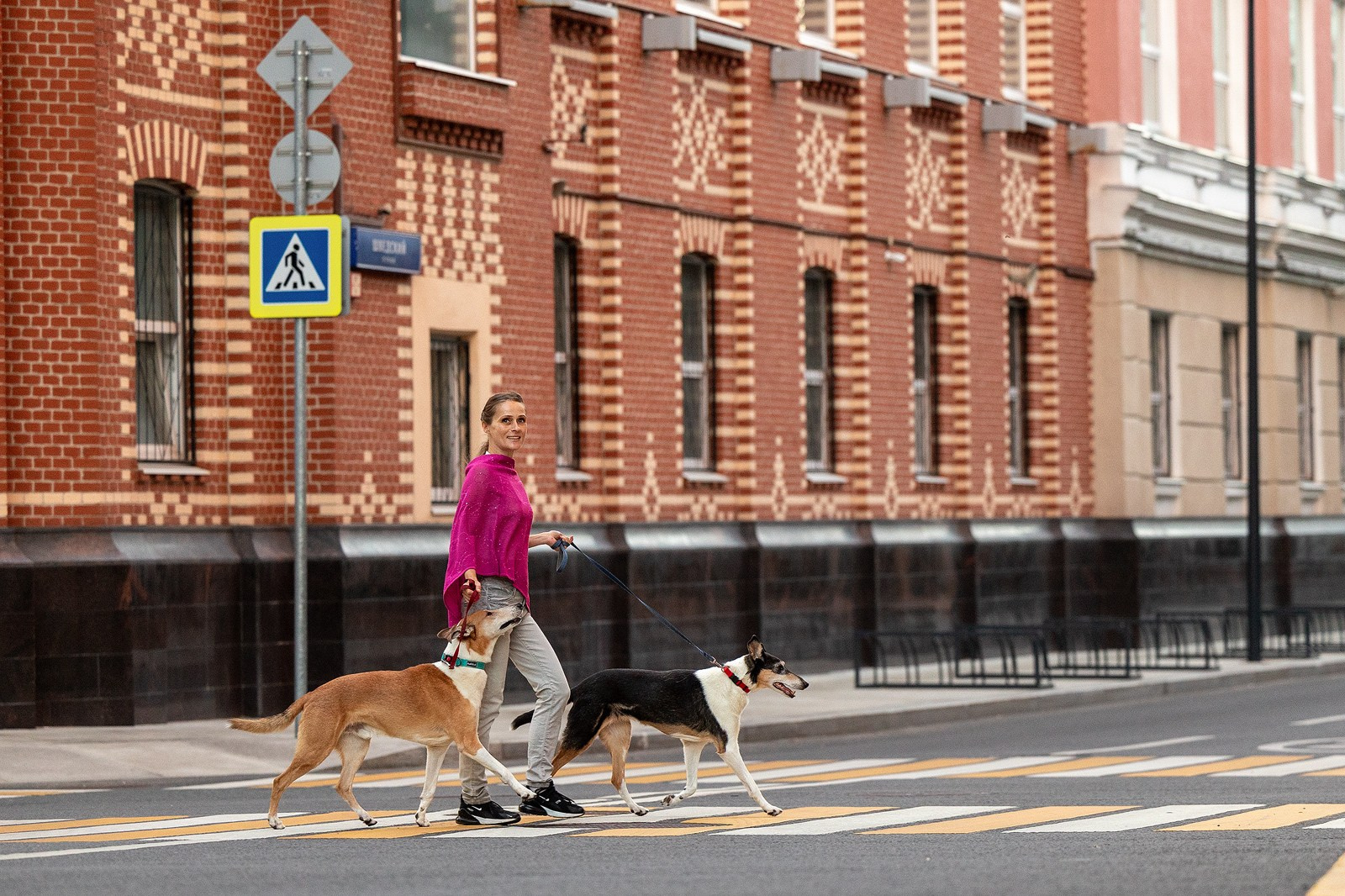 Винтик и Вита в городе. Фотограф-анималист Natalia Deingel | Фотосъемка собак в Москве