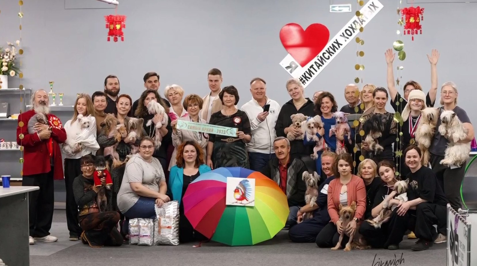 Праздник породы «Яркий мир китайских хохлатых собак». Питомник китайских хохлатых собак Poale Ell: купить щенка