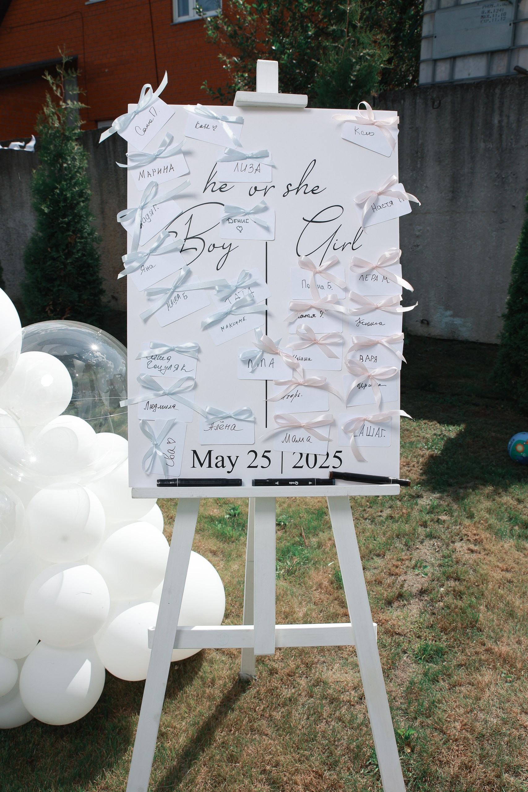 Организация Gender Party под ключ. Москва и МО