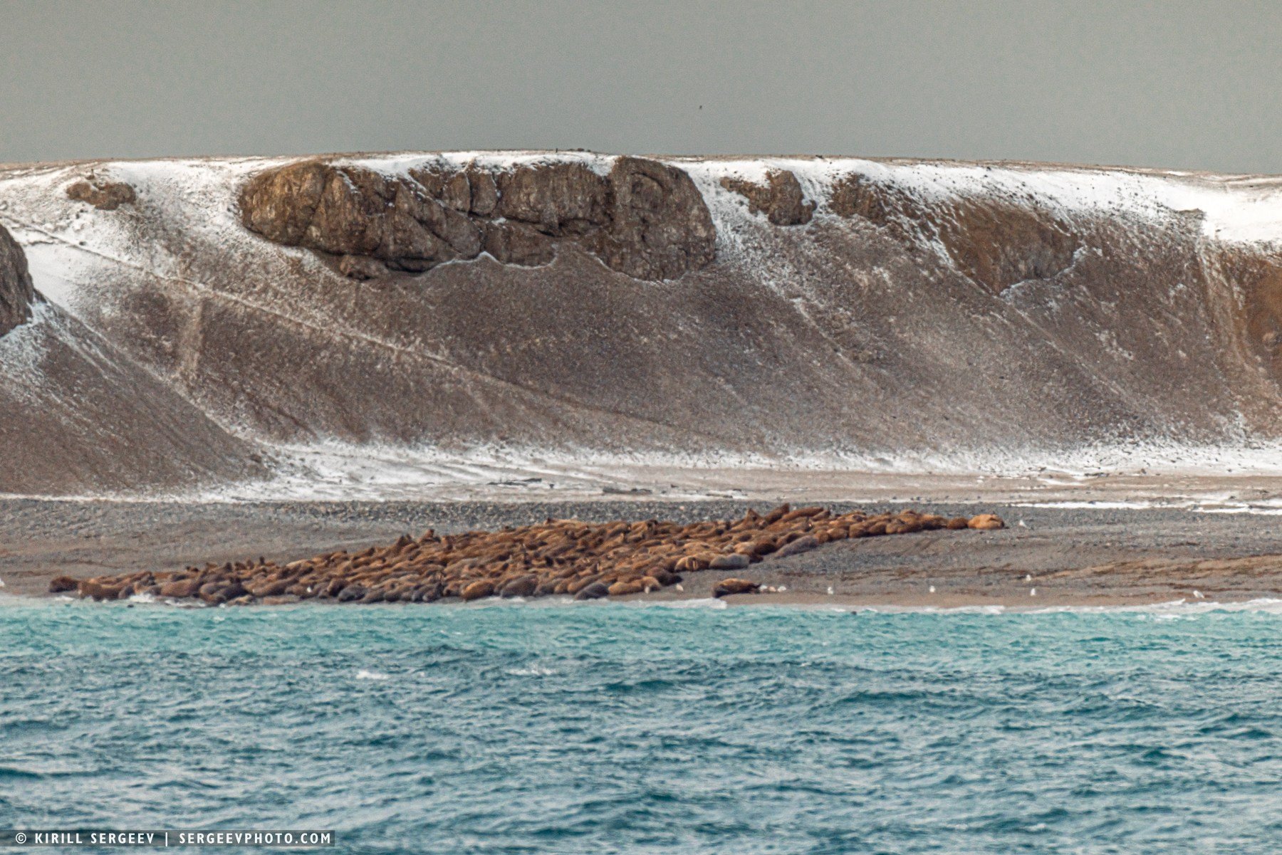 北極奧德賽. 攝影師 基里爾·謝爾蓋耶夫 |莫斯科
