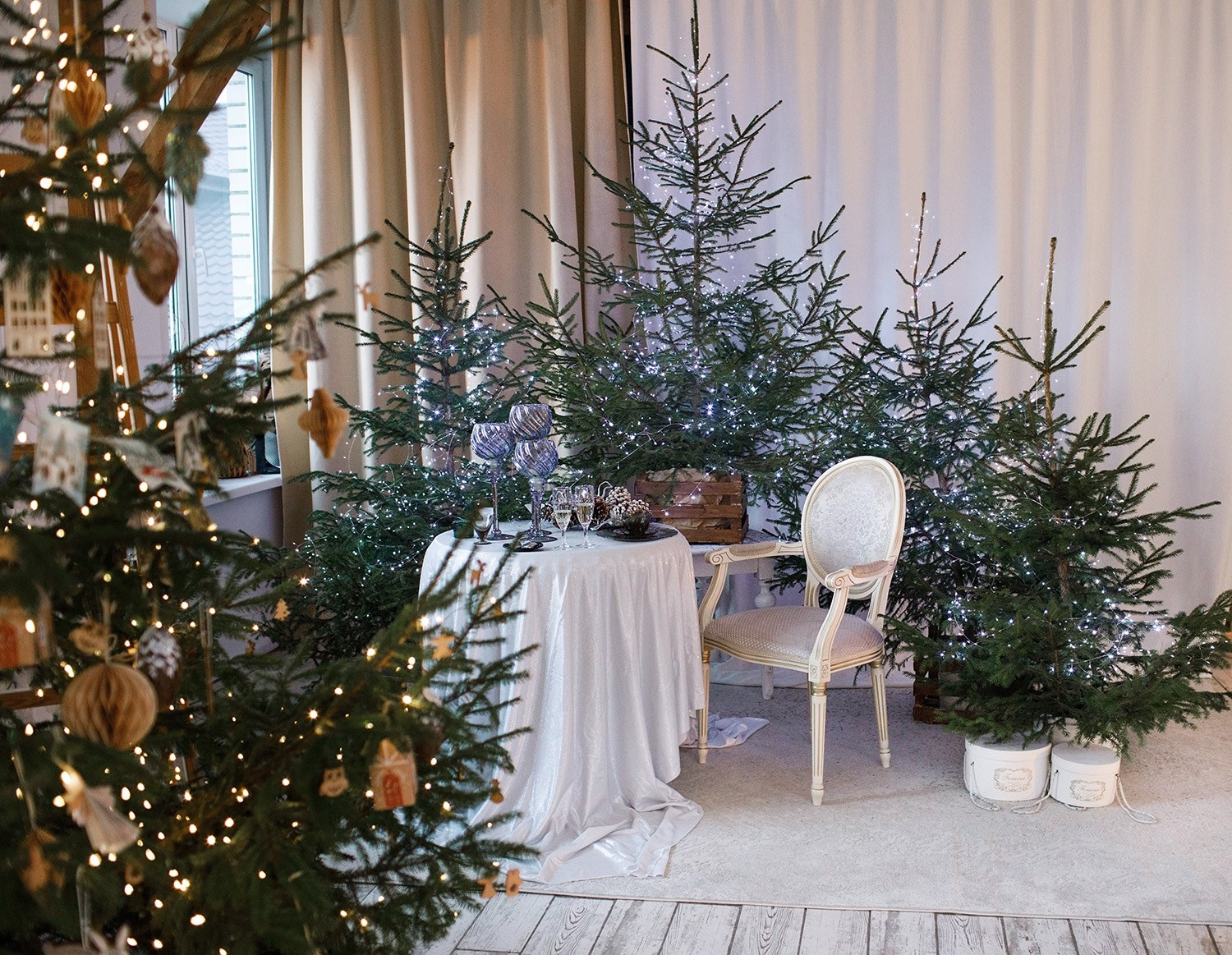 Фотостудии Брянска. Семейный фотограф в Брянске Александра Щербакова