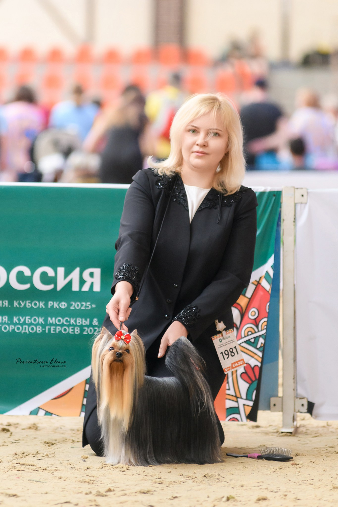 Первые папильотки Фроши 💞. Йоркширский терьер — питомник йоркширских терьеров Vole'T Shou