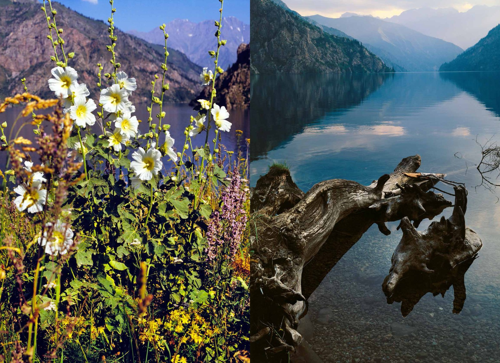 Коллекционные альбомы. ВАДИМ ГИППЕНРЕЙТЕР — ВЕЛИКИЙ ФОТОГРАФ ЗЕМЛИ РУССКОЙ