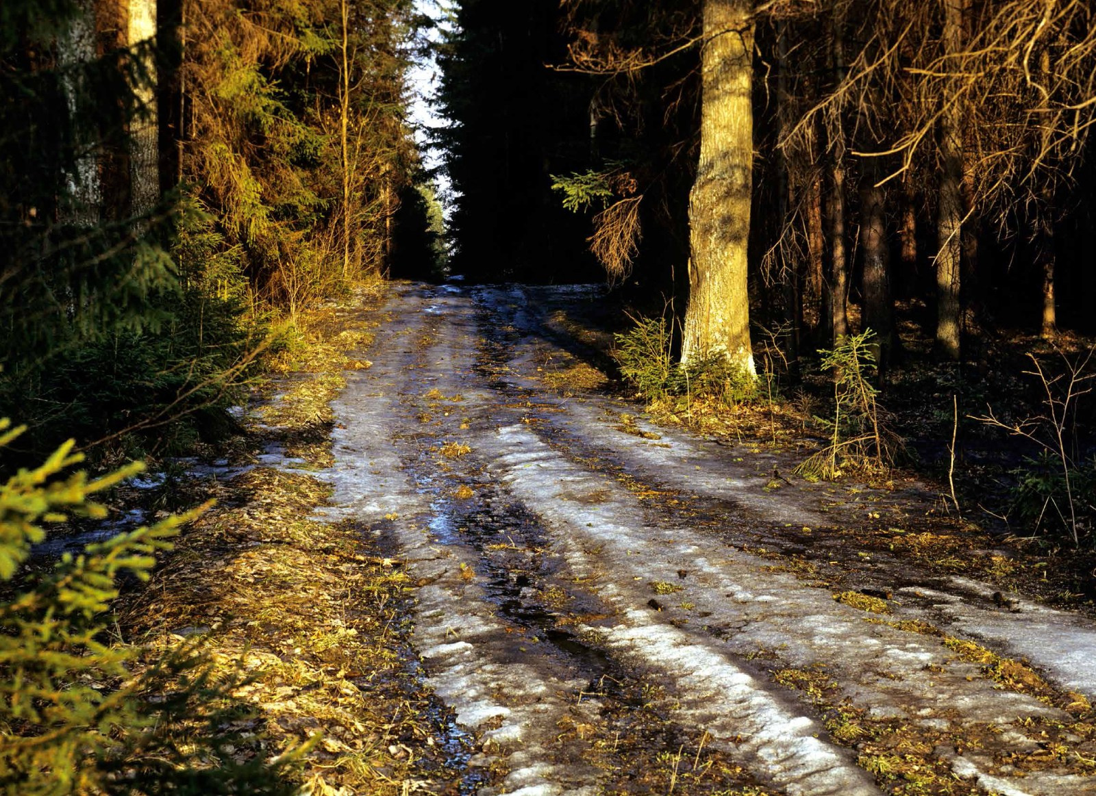 Коллекционные альбомы. ВАДИМ ГИППЕНРЕЙТЕР — ВЕЛИКИЙ ФОТОГРАФ ЗЕМЛИ РУССКОЙ