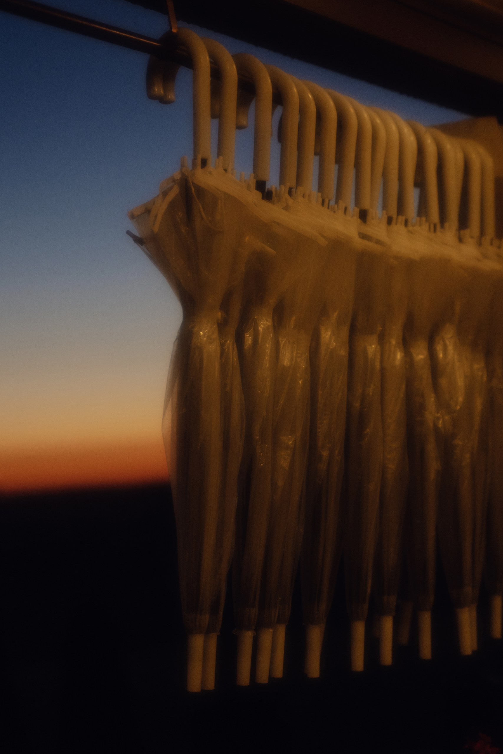 Никита и Маша. Свадебный фотограф Анжелика Сариева