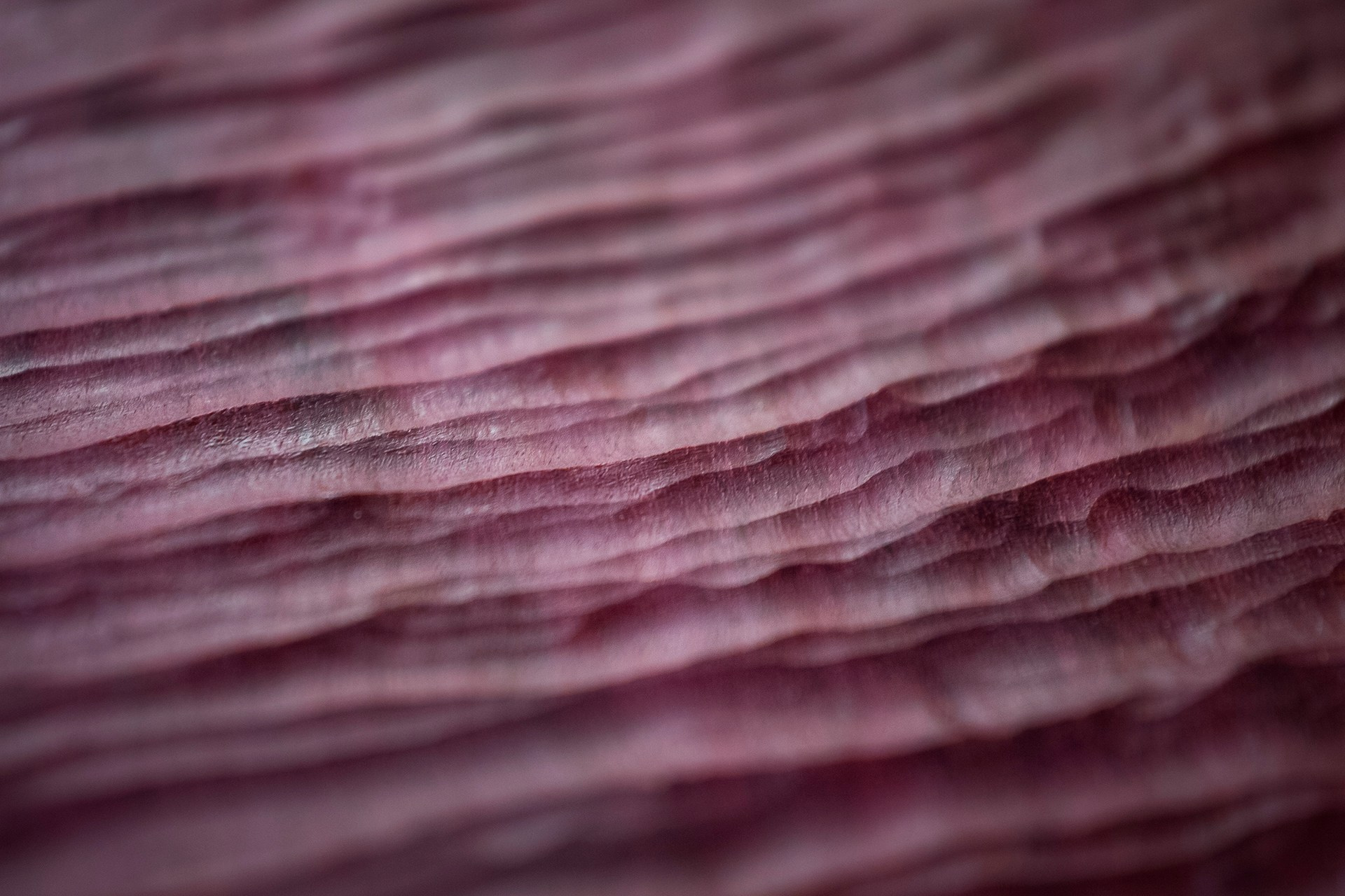 Авторские интерьерные изделия ручной работы. Halaywood.com