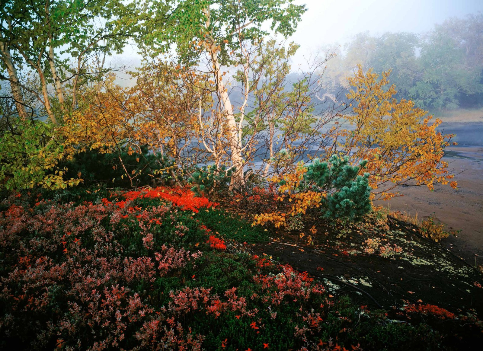 Коллекционные альбомы. ВАДИМ ГИППЕНРЕЙТЕР — ВЕЛИКИЙ ФОТОГРАФ ЗЕМЛИ РУССКОЙ