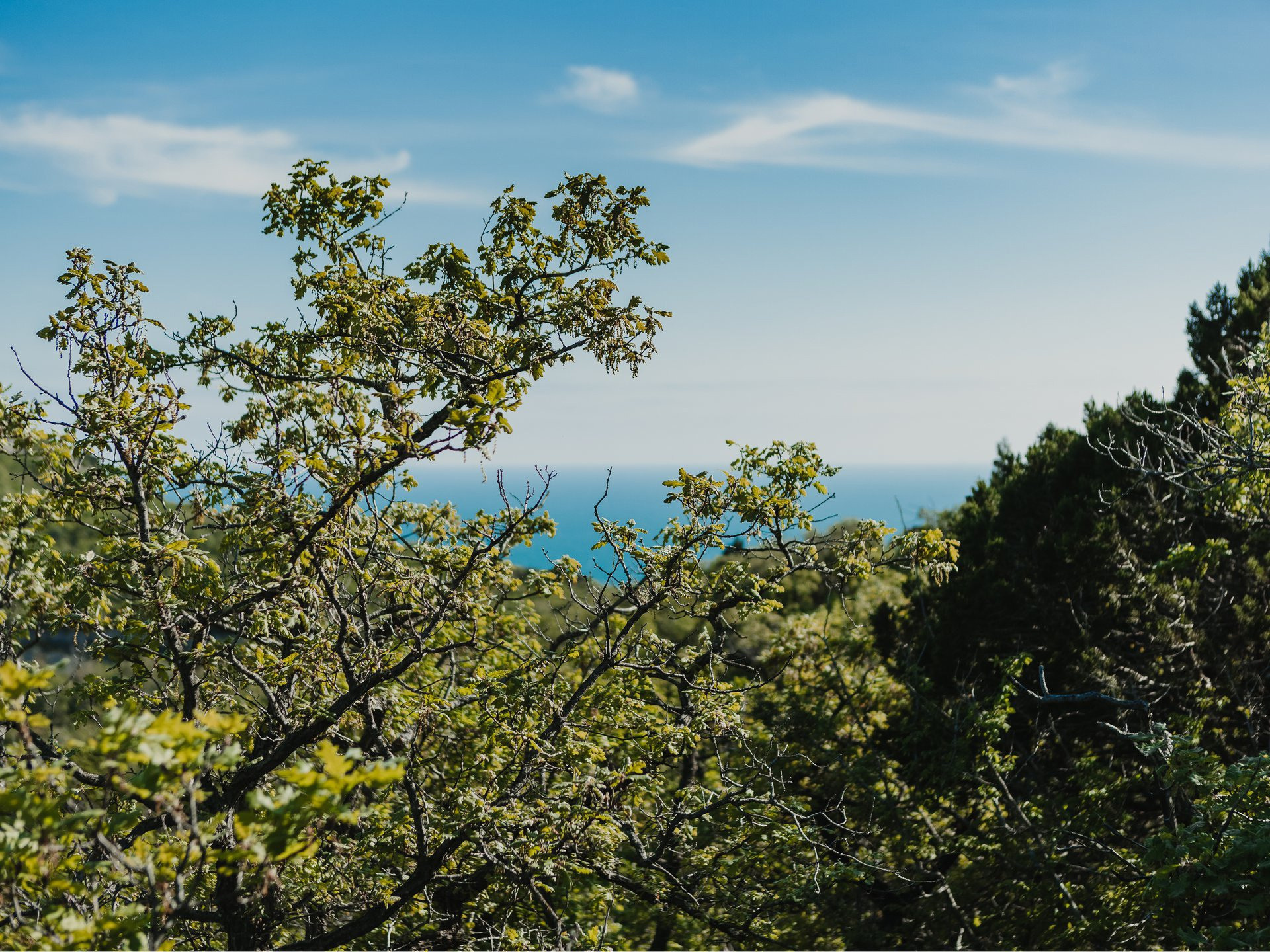 МЕСТА ДЛЯ ФОТОСЕССИИ В АНАПЕ. Свадебный и семейный фотограф/видеограф в Краснодаре Наталья Осинская