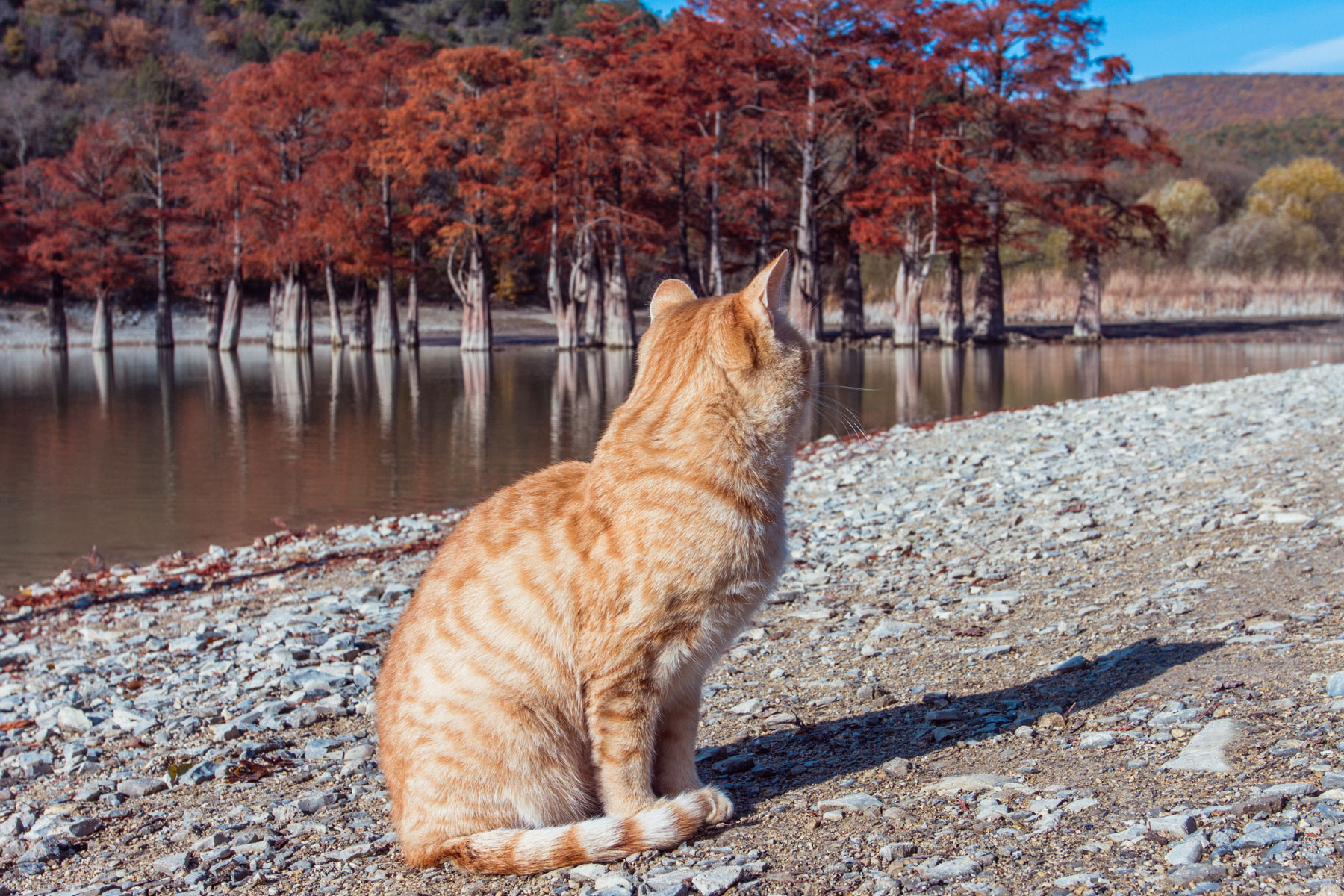 МЕСТА ДЛЯ ФОТОСЕССИИ В АНАПЕ. Свадебный и семейный фотограф/видеограф в Краснодаре Наталья Осинская