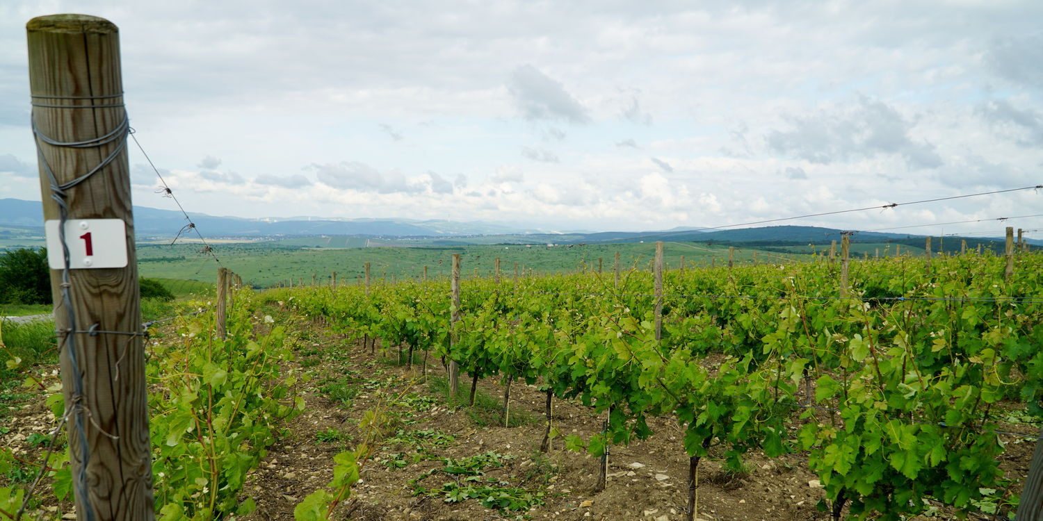МЕСТА ДЛЯ ФОТОСЕССИИ В АНАПЕ. Свадебный и семейный фотограф/видеограф в Краснодаре Наталья Осинская