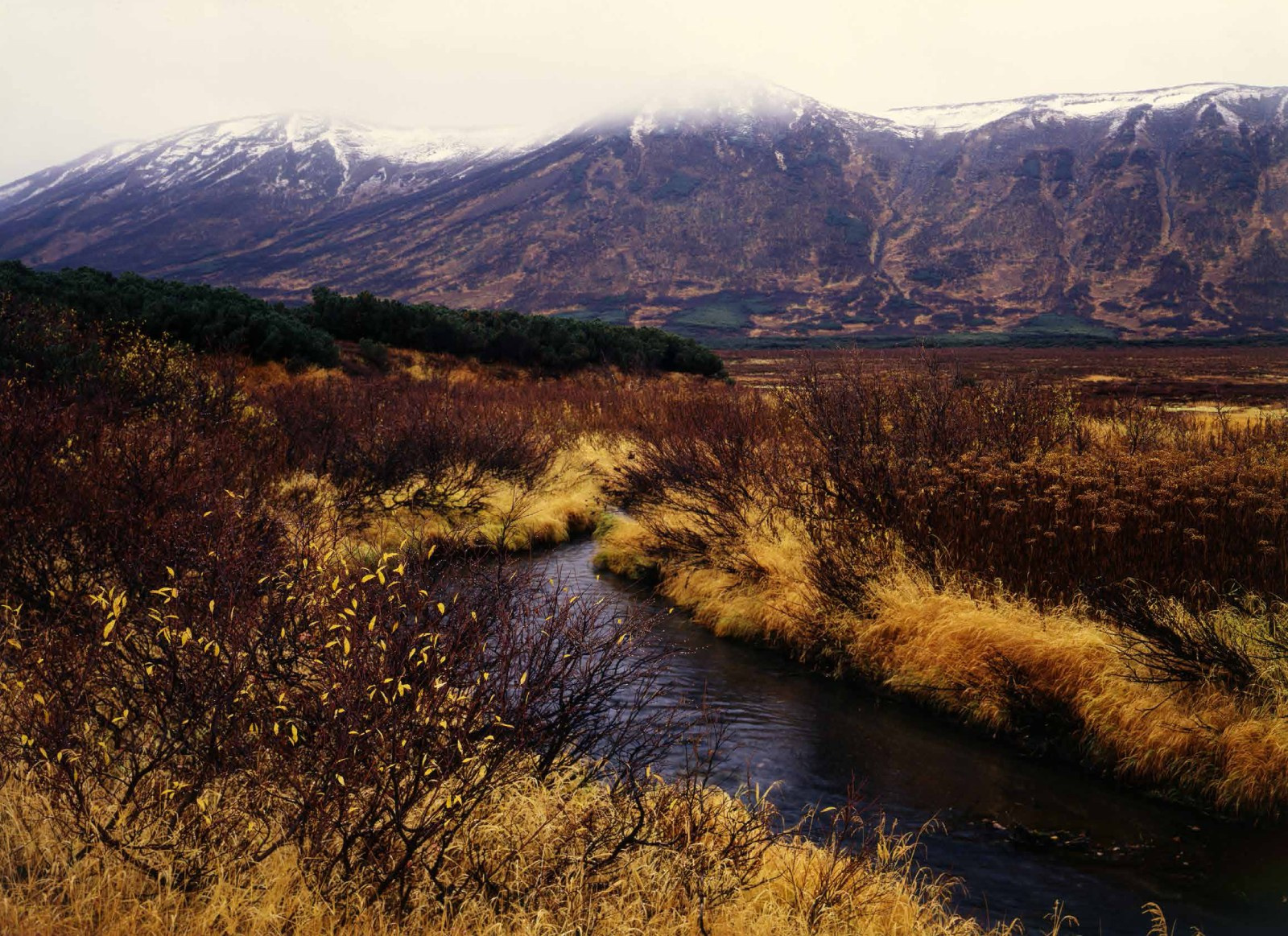 Коллекционные альбомы. ВАДИМ ГИППЕНРЕЙТЕР — ВЕЛИКИЙ ФОТОГРАФ ЗЕМЛИ РУССКОЙ
