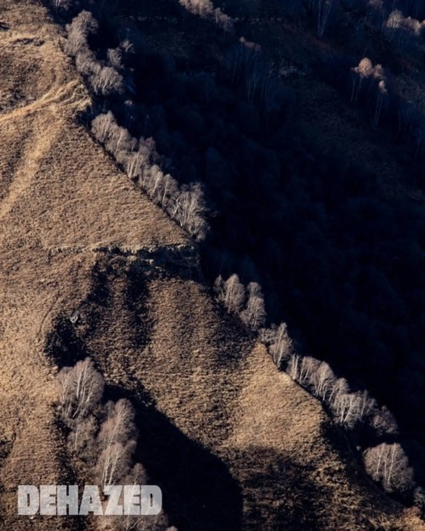 Наталия Фролова. Фотограф. Москва