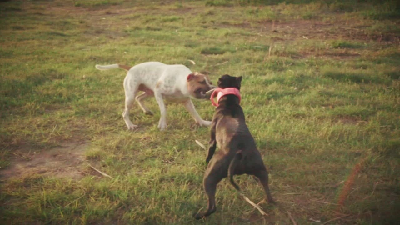 Творчество. JOHNNY SOLOVEV VISION