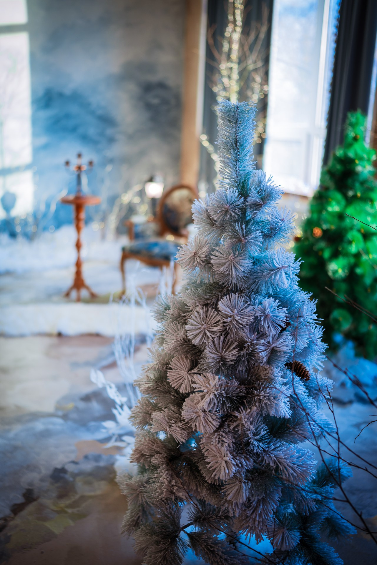 Фотостудия интерьерная в Туле — Давинчи |Davinci