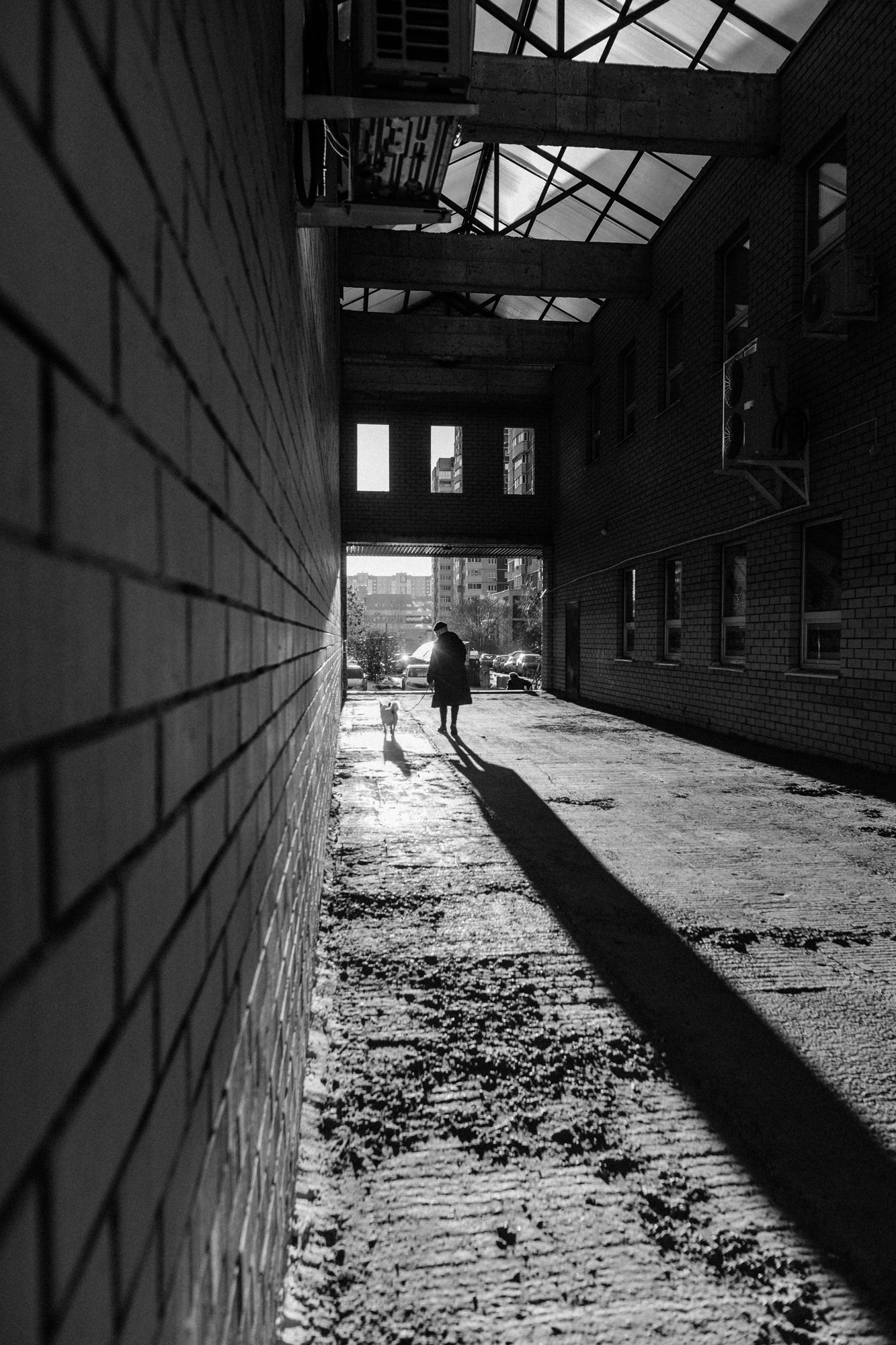 Мужской портрет на прогулке. Дружба человека и собаки в кадре.