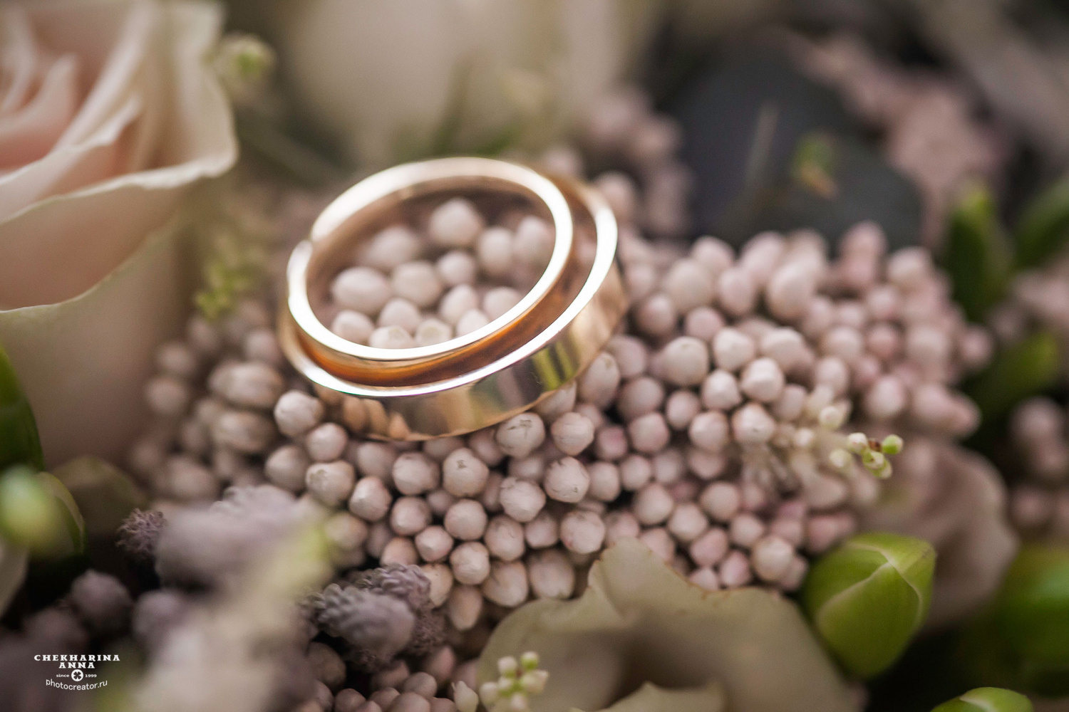 Профессиональный фотограф Чехарина Анна / pro photographer Chekharina