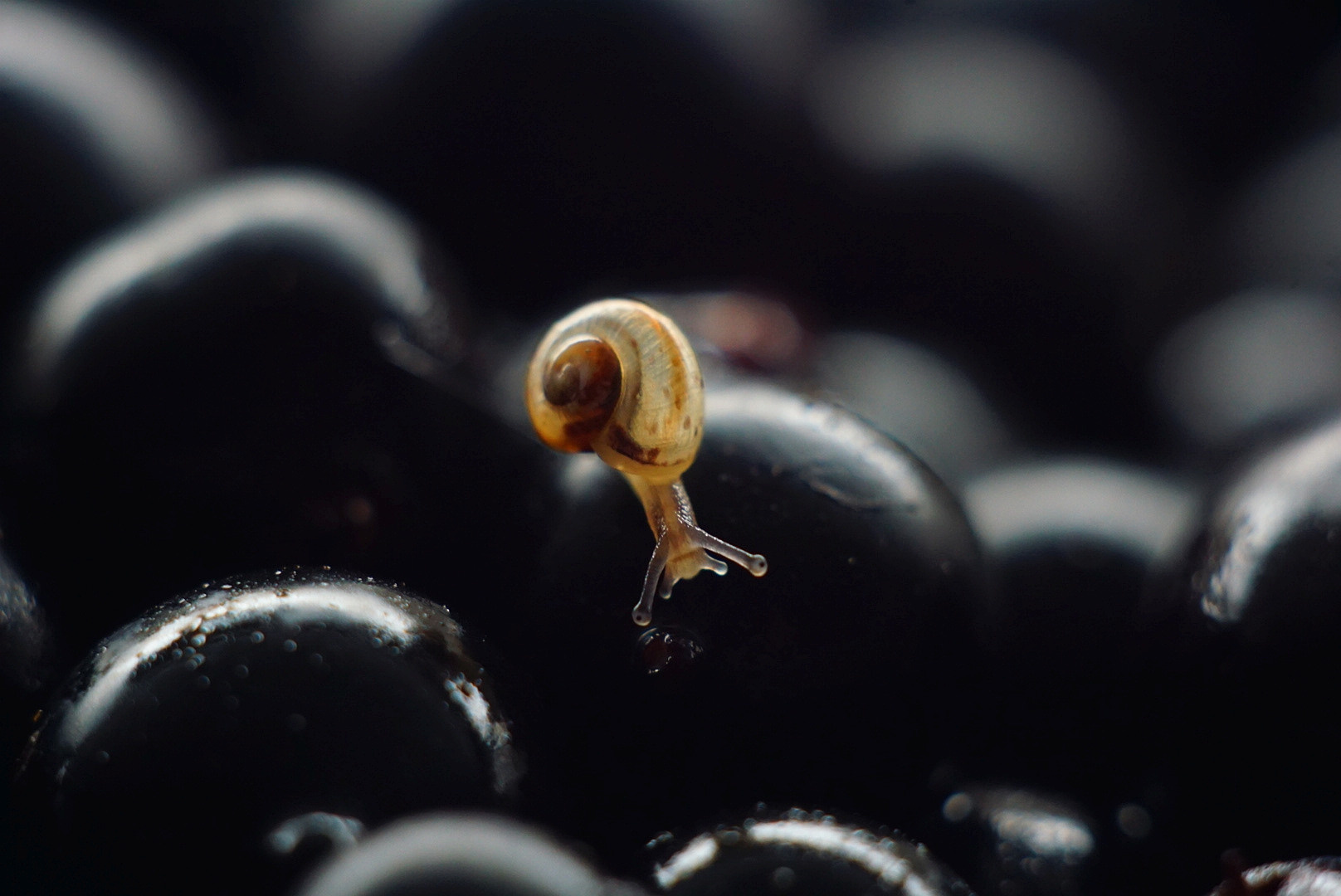 «КАДР71» что означает? Реклама в центре Тулы, и почему «Сарафан» лучше. Фотограф в Туле Крупский АнДРей. Фотостудия «КАДР71» в Туле