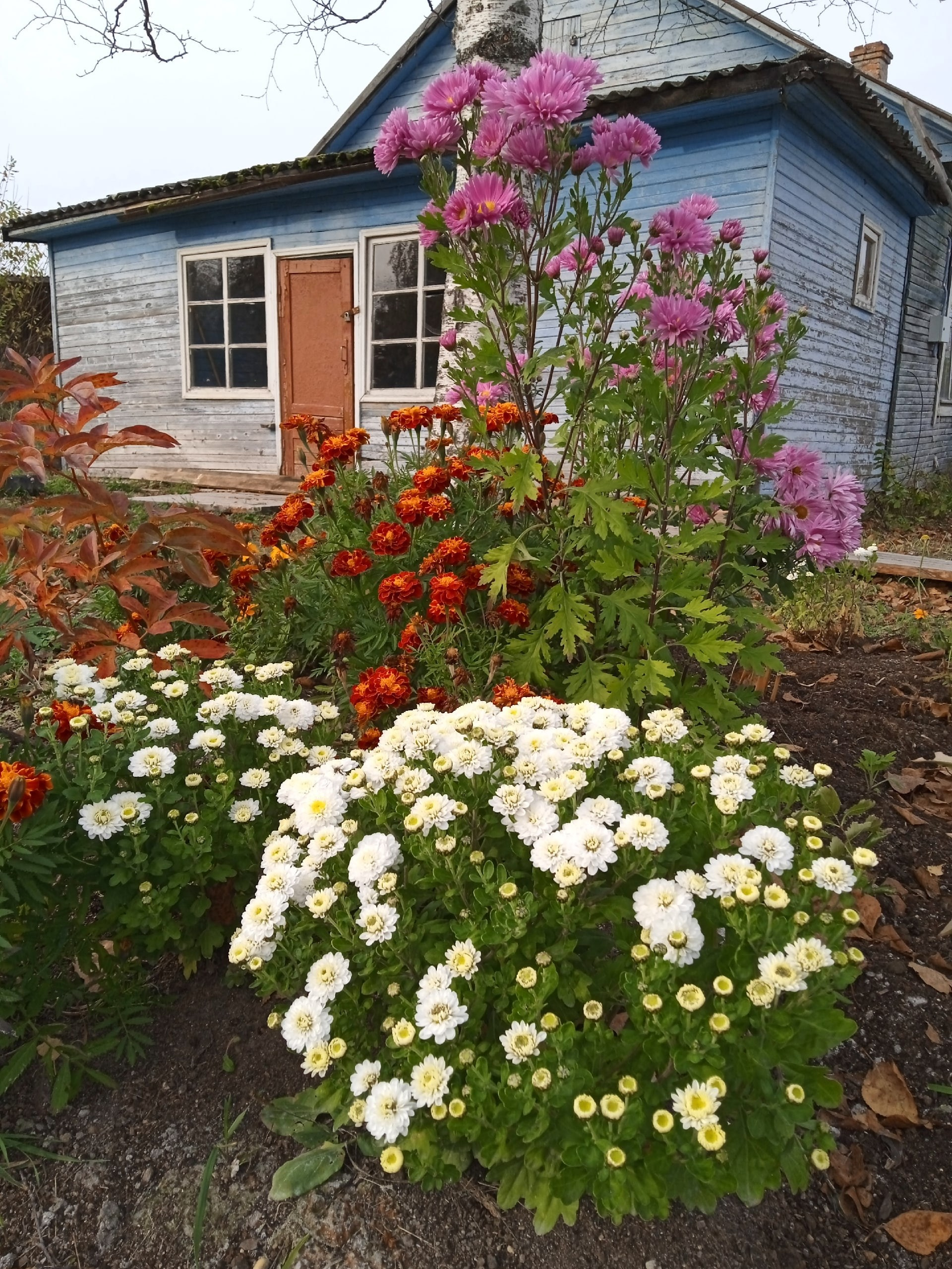 Новости. Центр развития малых территорий «Журавель»