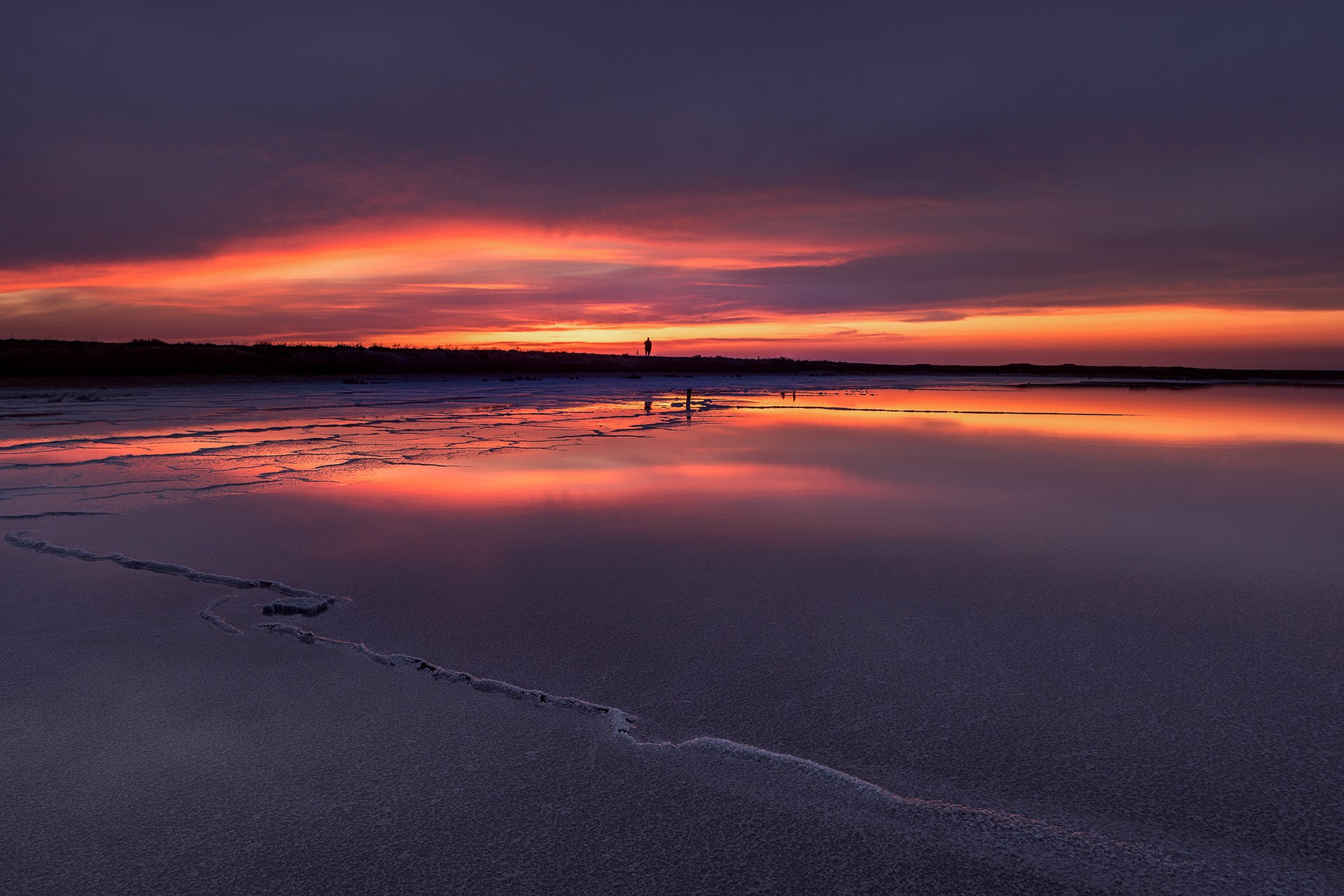 Волгоградская и астраханская области Весна 2026 | Фотограф Дмитрий Купрацевич. Дмитрий Купрацевич профессиональный пейзажный и travel-фотограф
