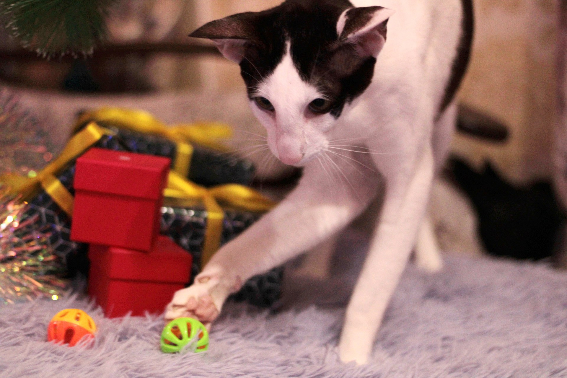 Катя Попова|ЛайфСтайл фотограф